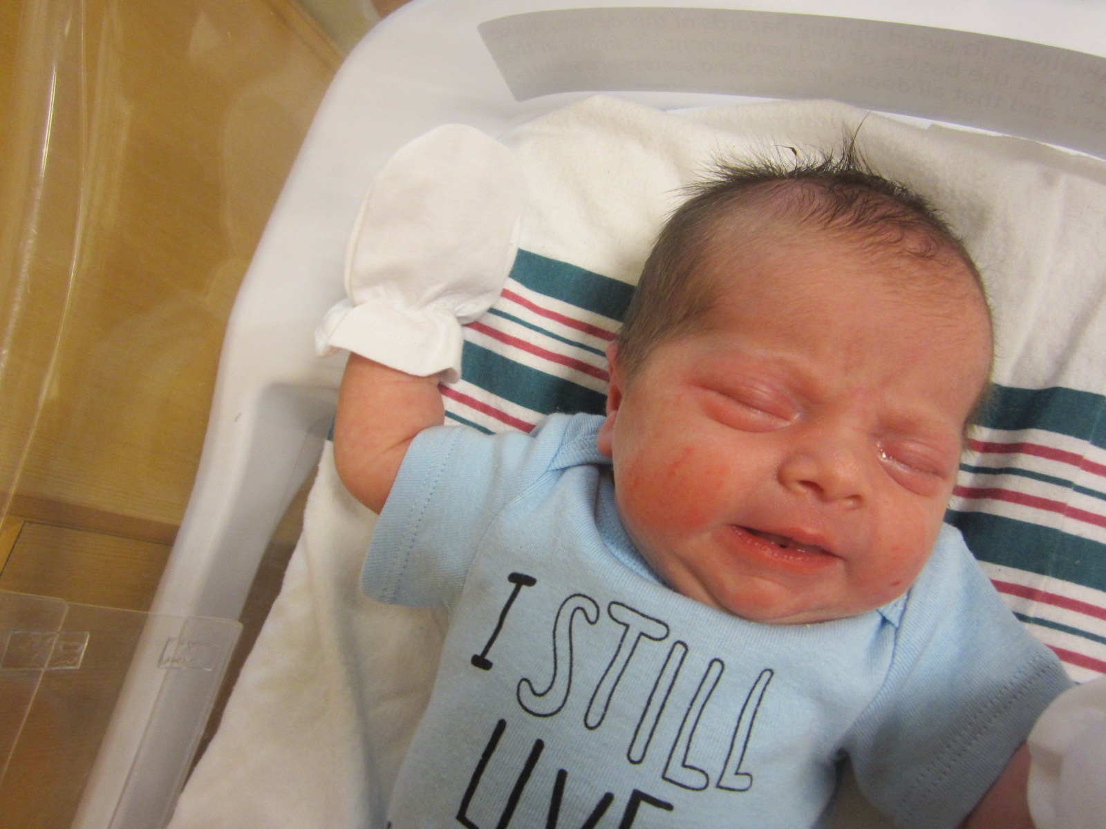 Adeline Samantha