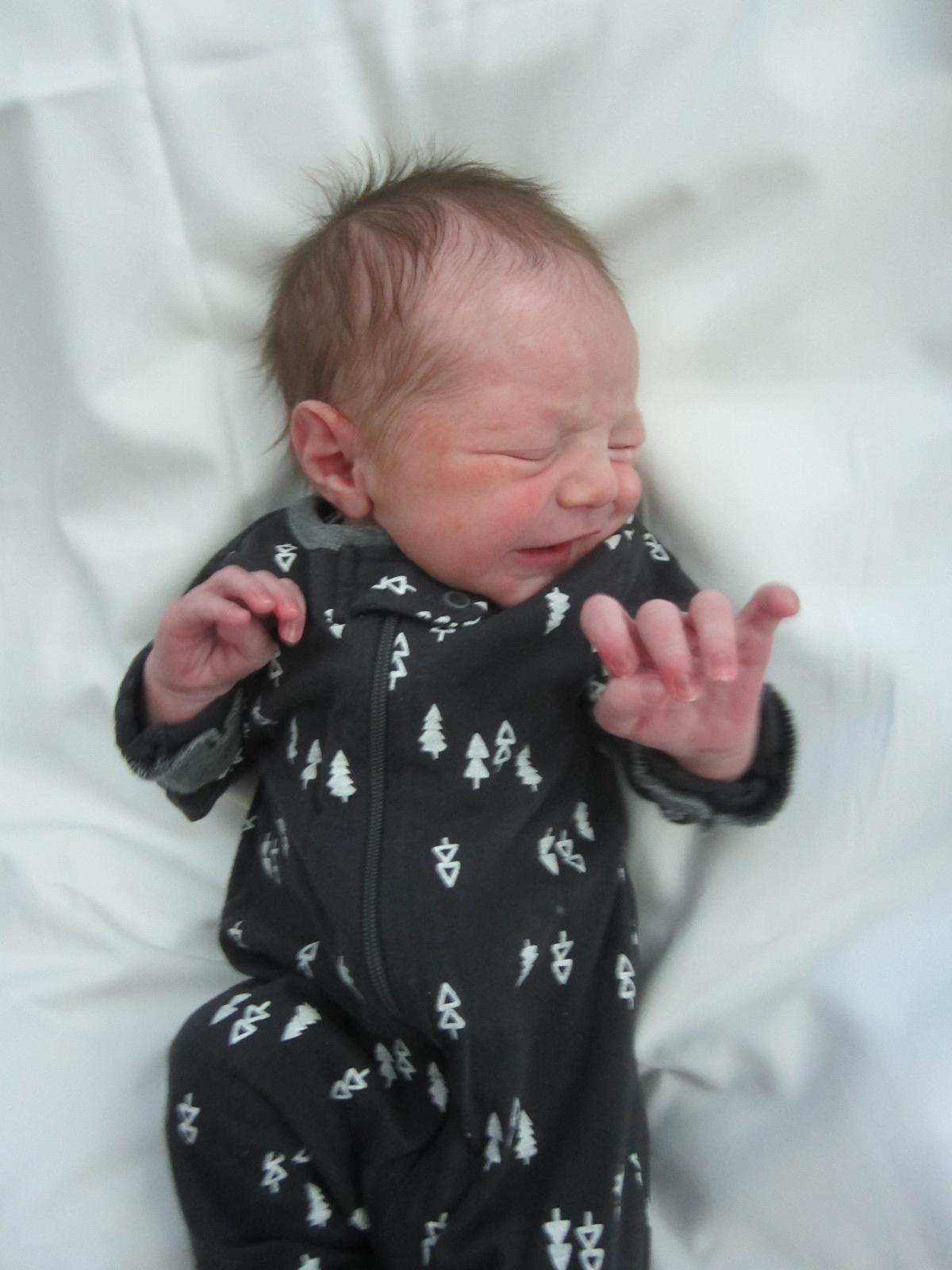 Jasper Asburg Grey