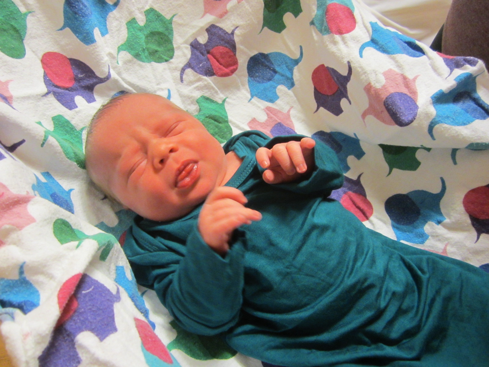 Declan Daniel