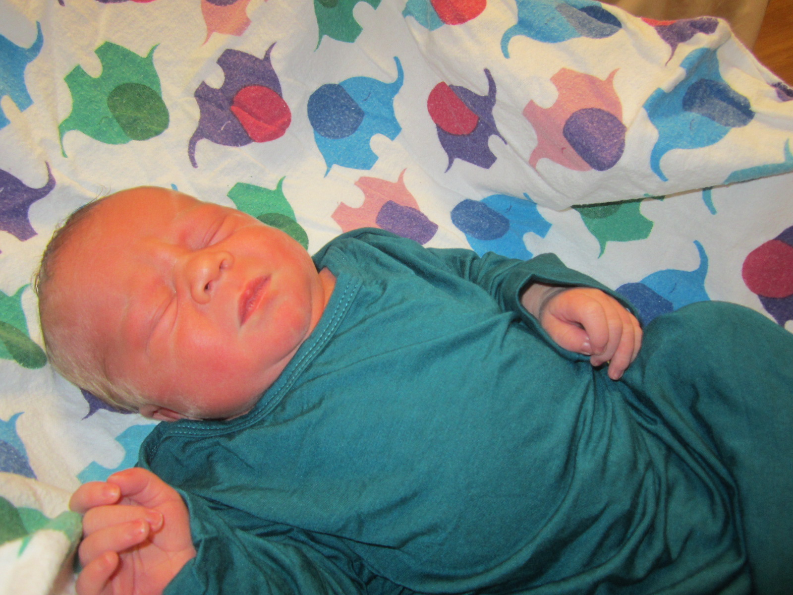Declan Daniel
