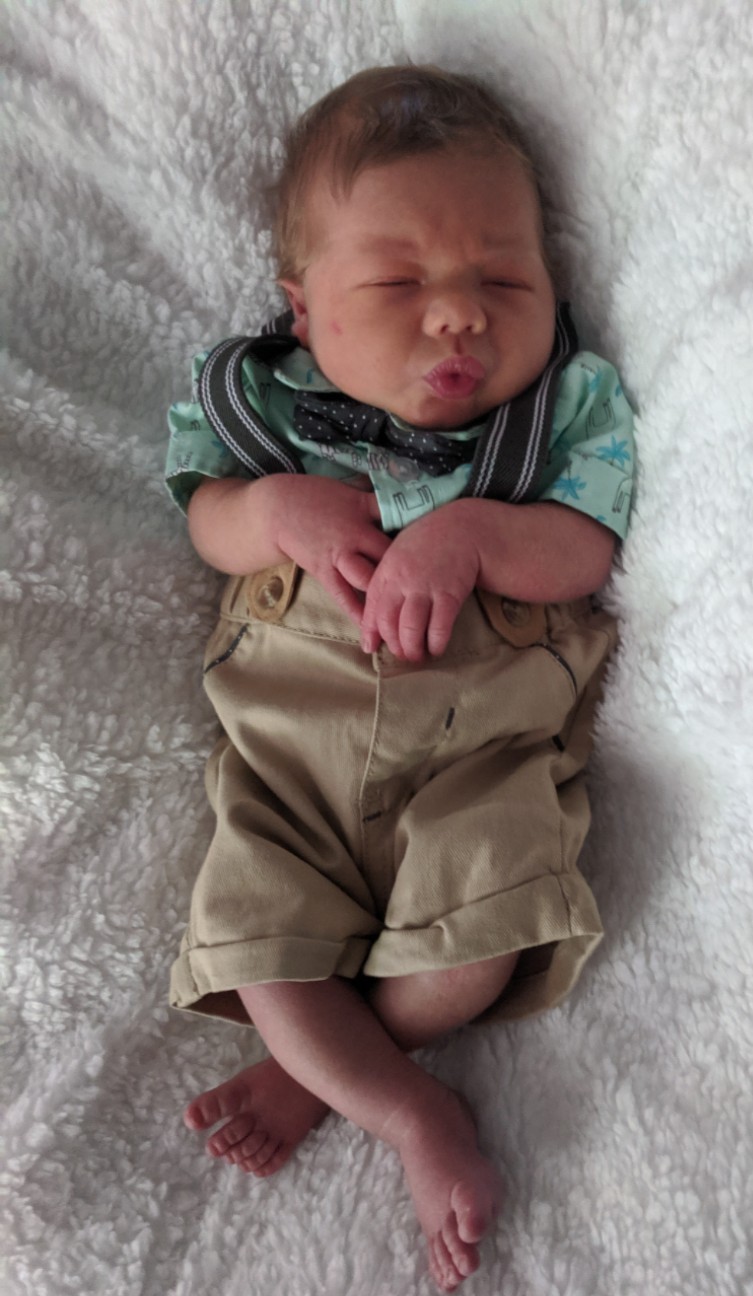 Milo Sage 