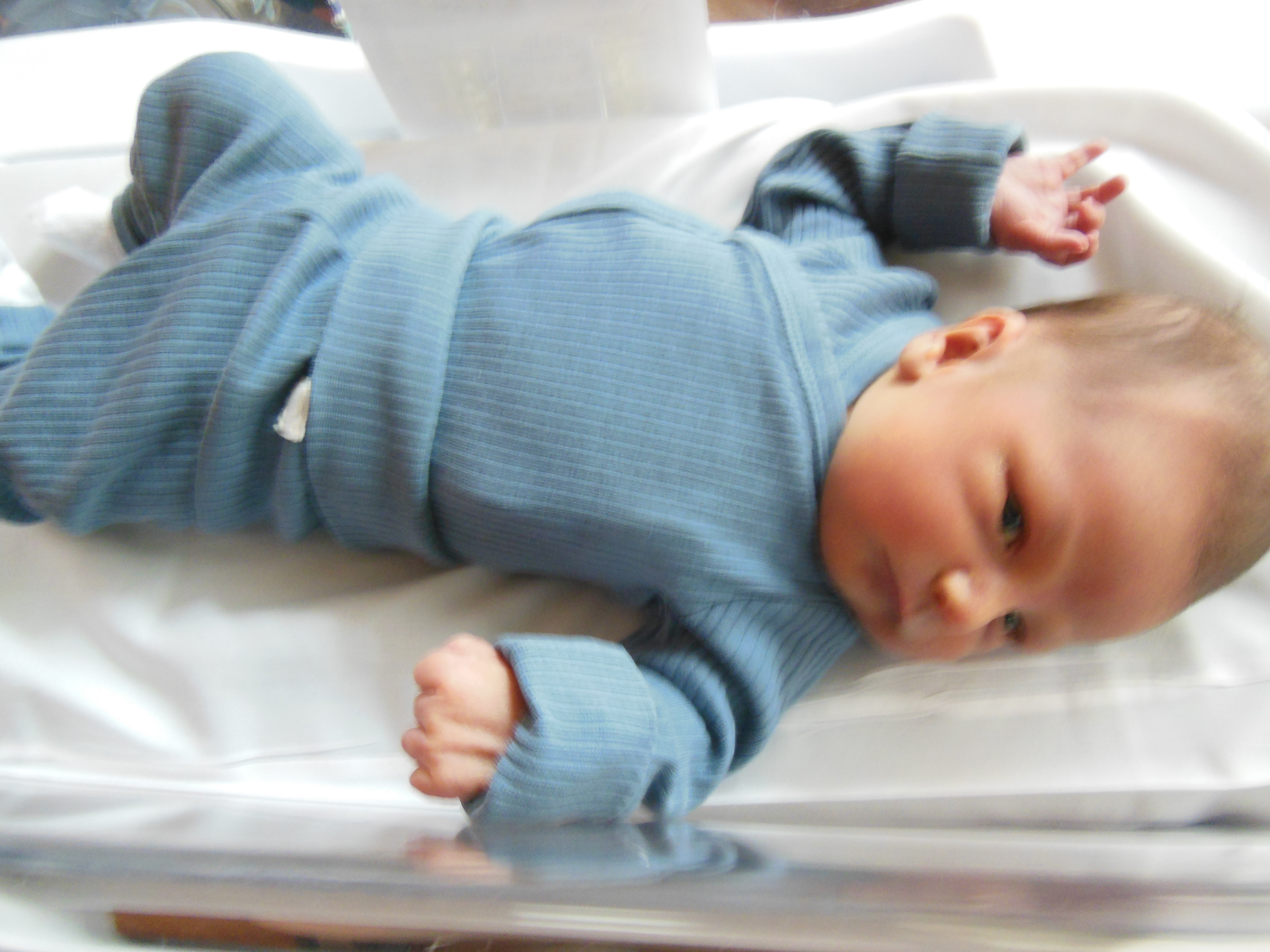 Slade Michael