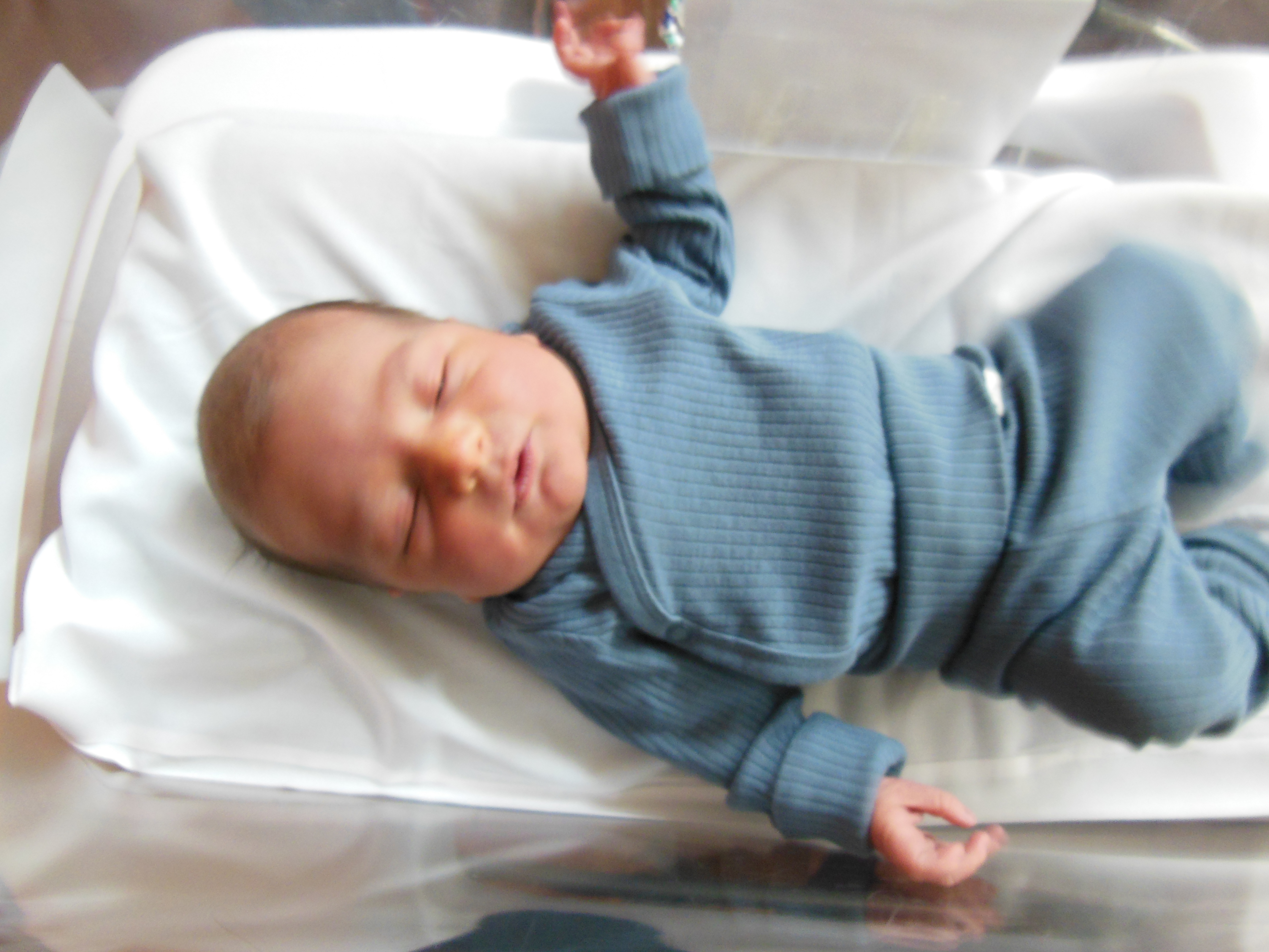 Slade Michael