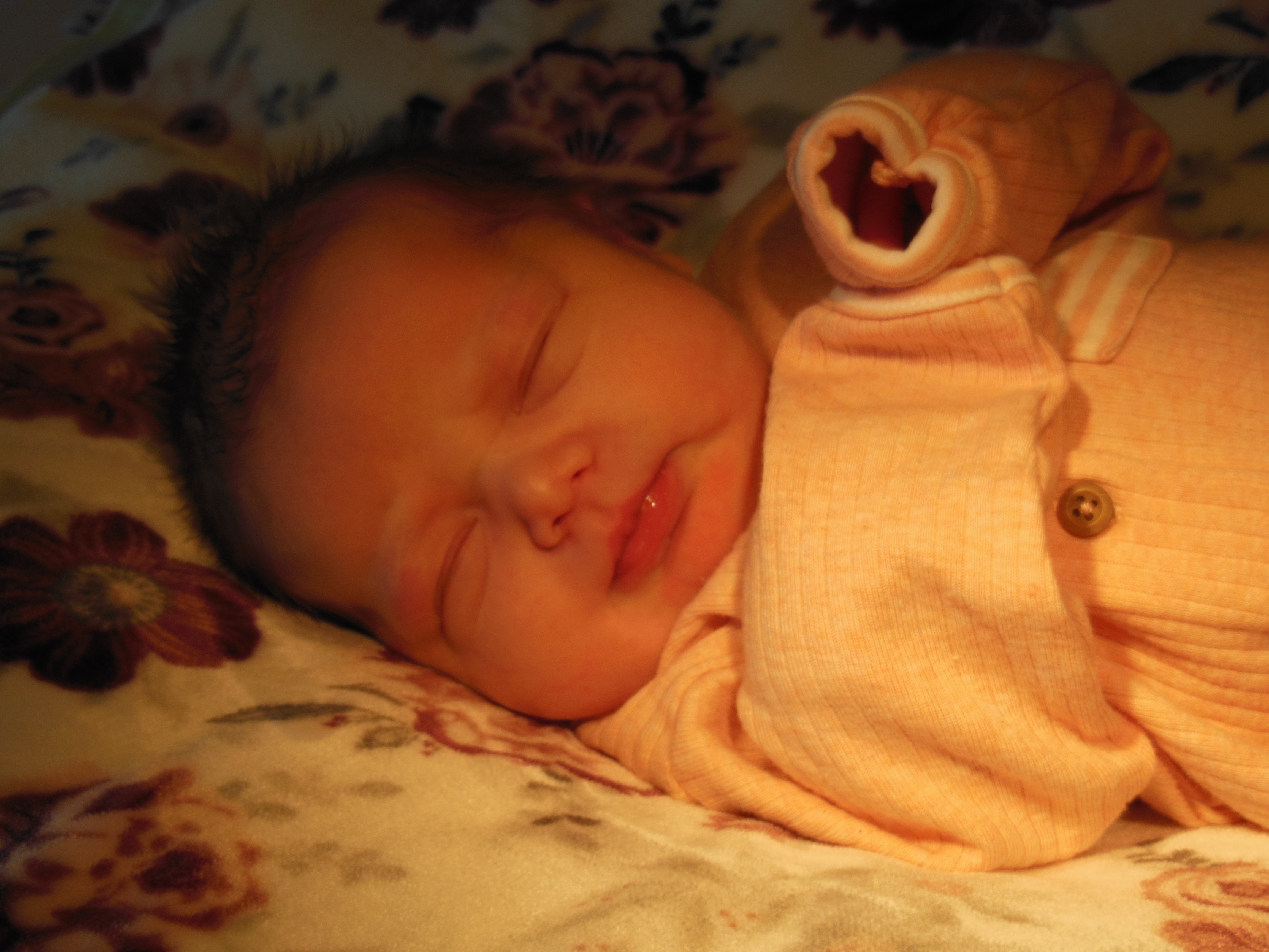 Annalise Megan  