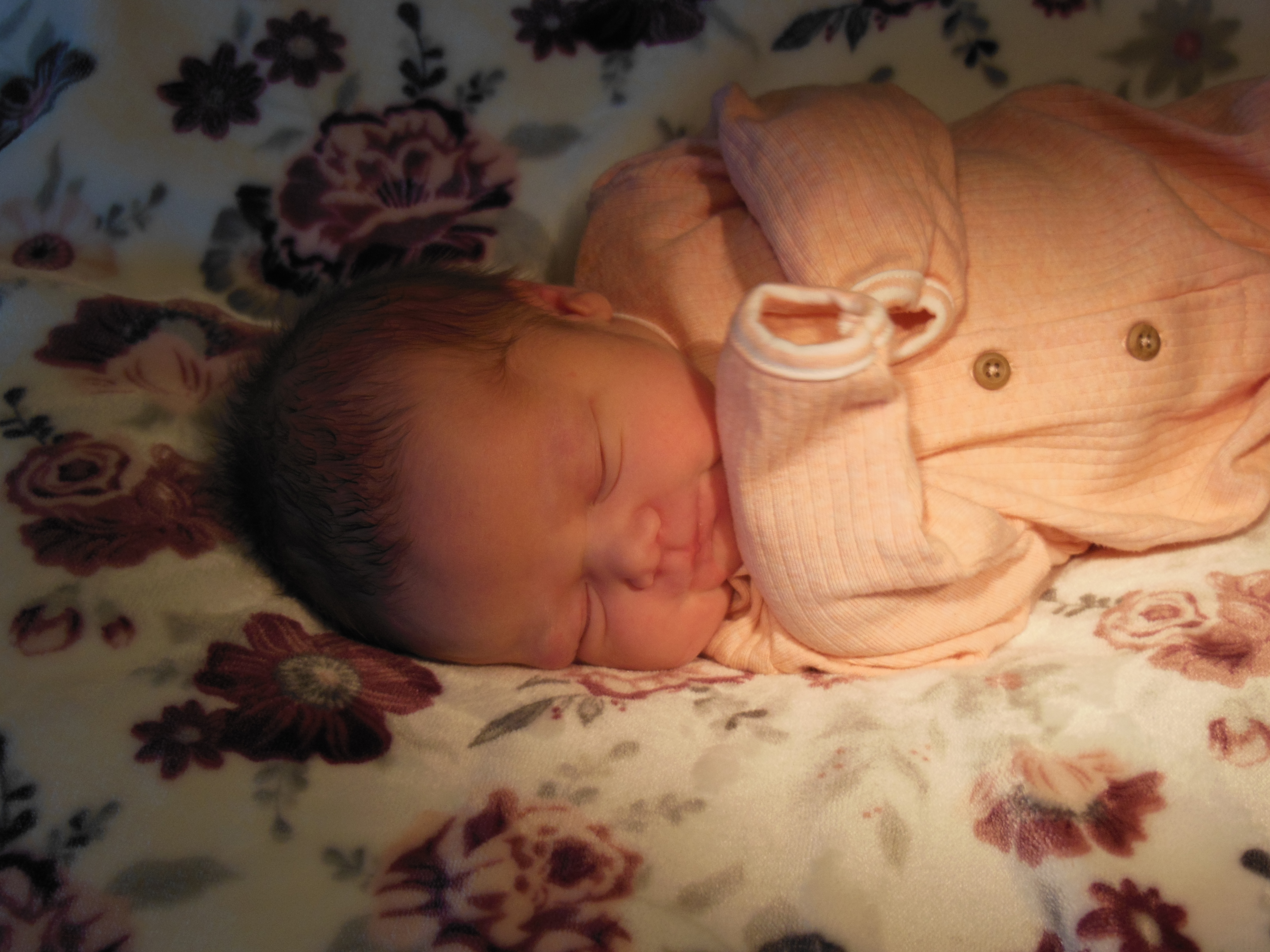 Annalise Megan  