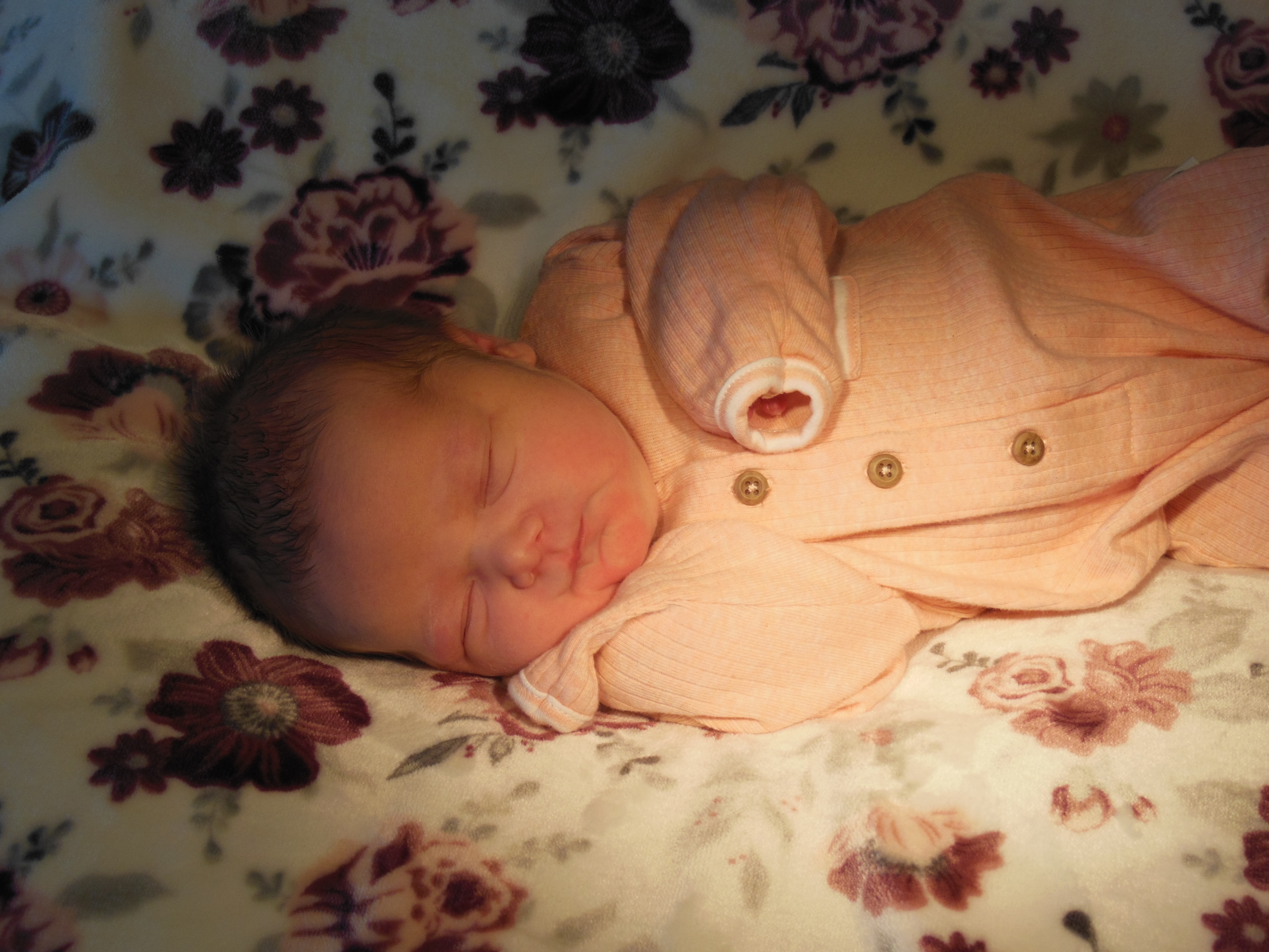 Annalise Megan  