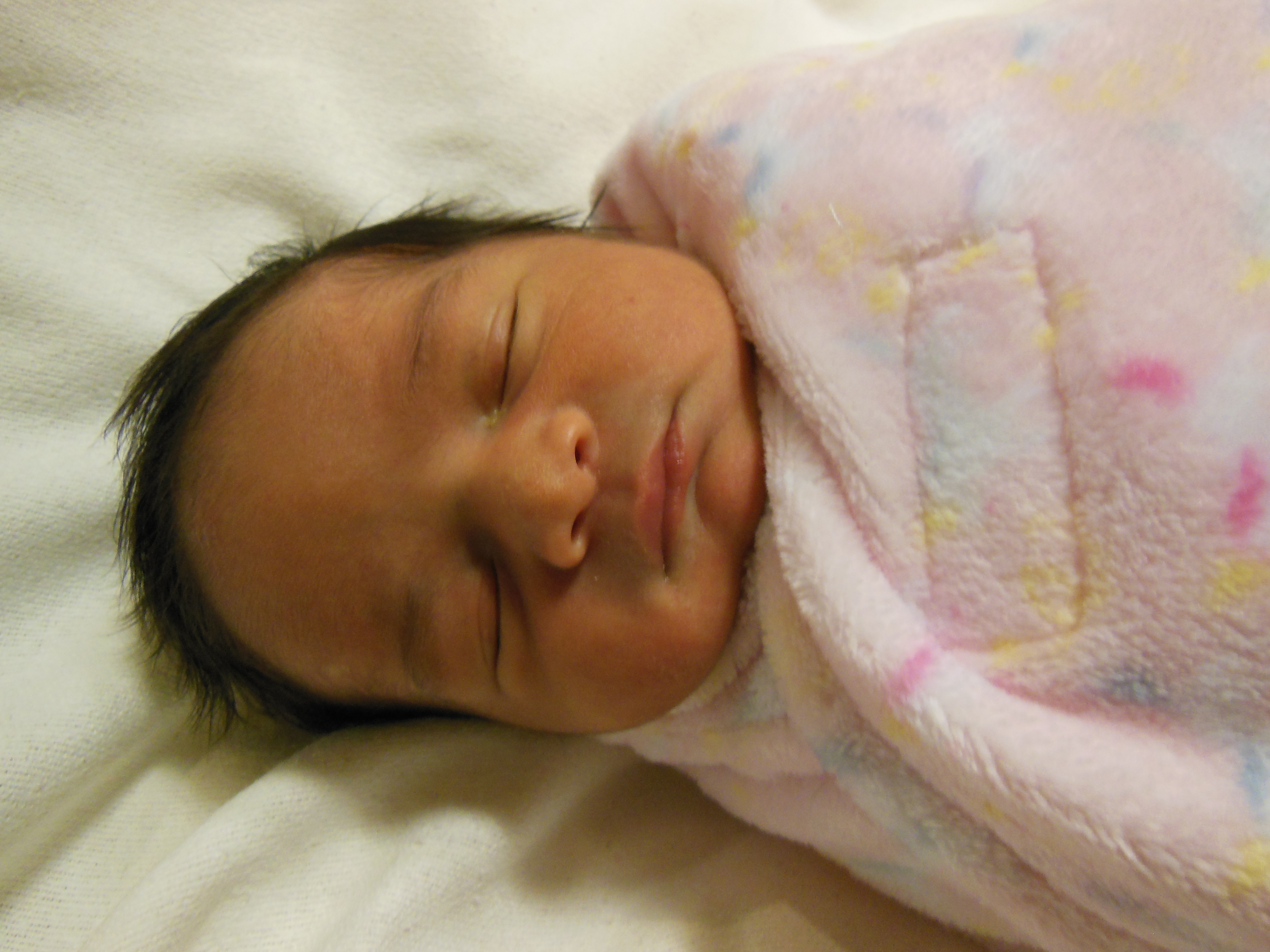 Lirin Fahima