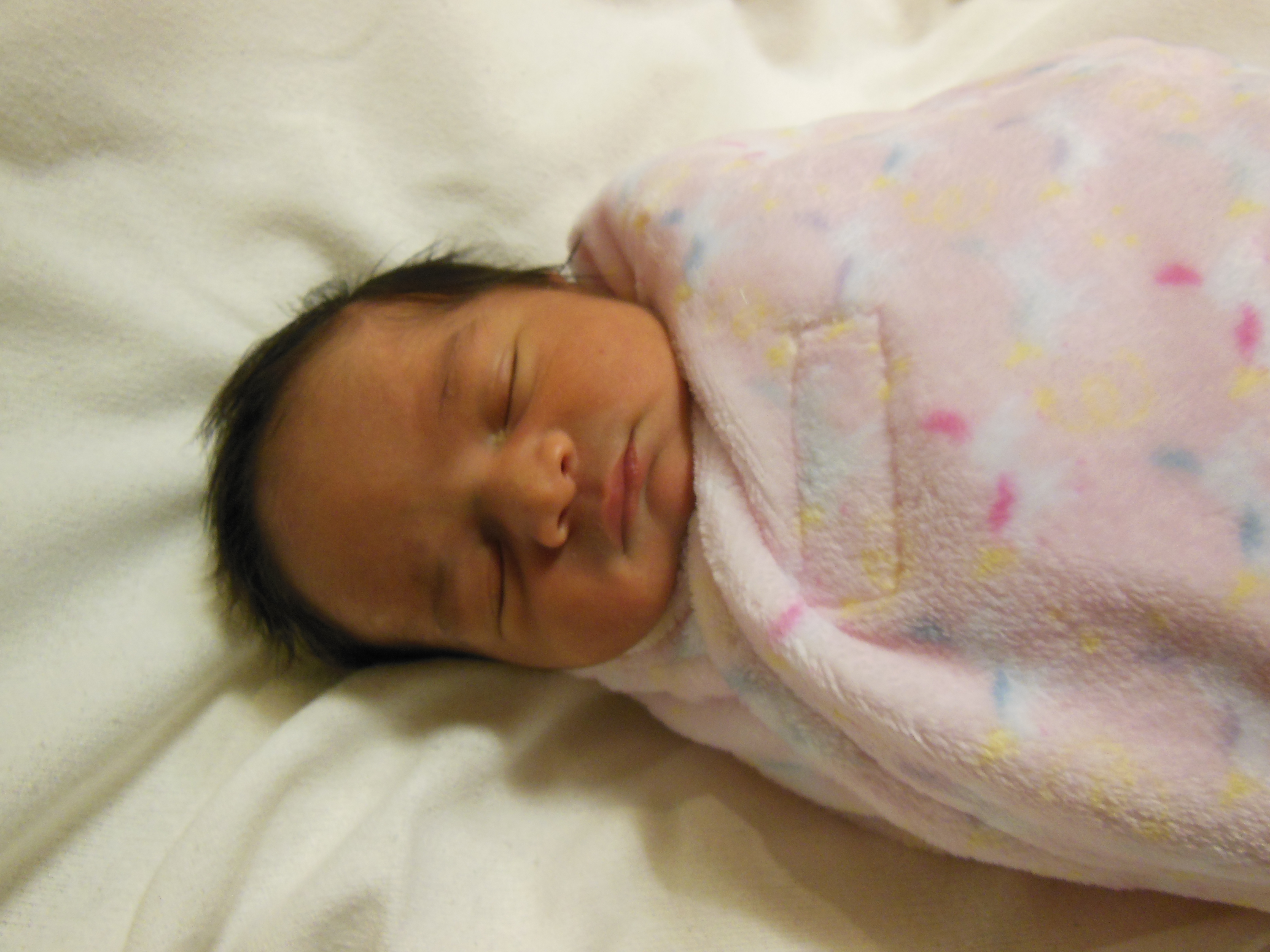 Lirin Fahima
