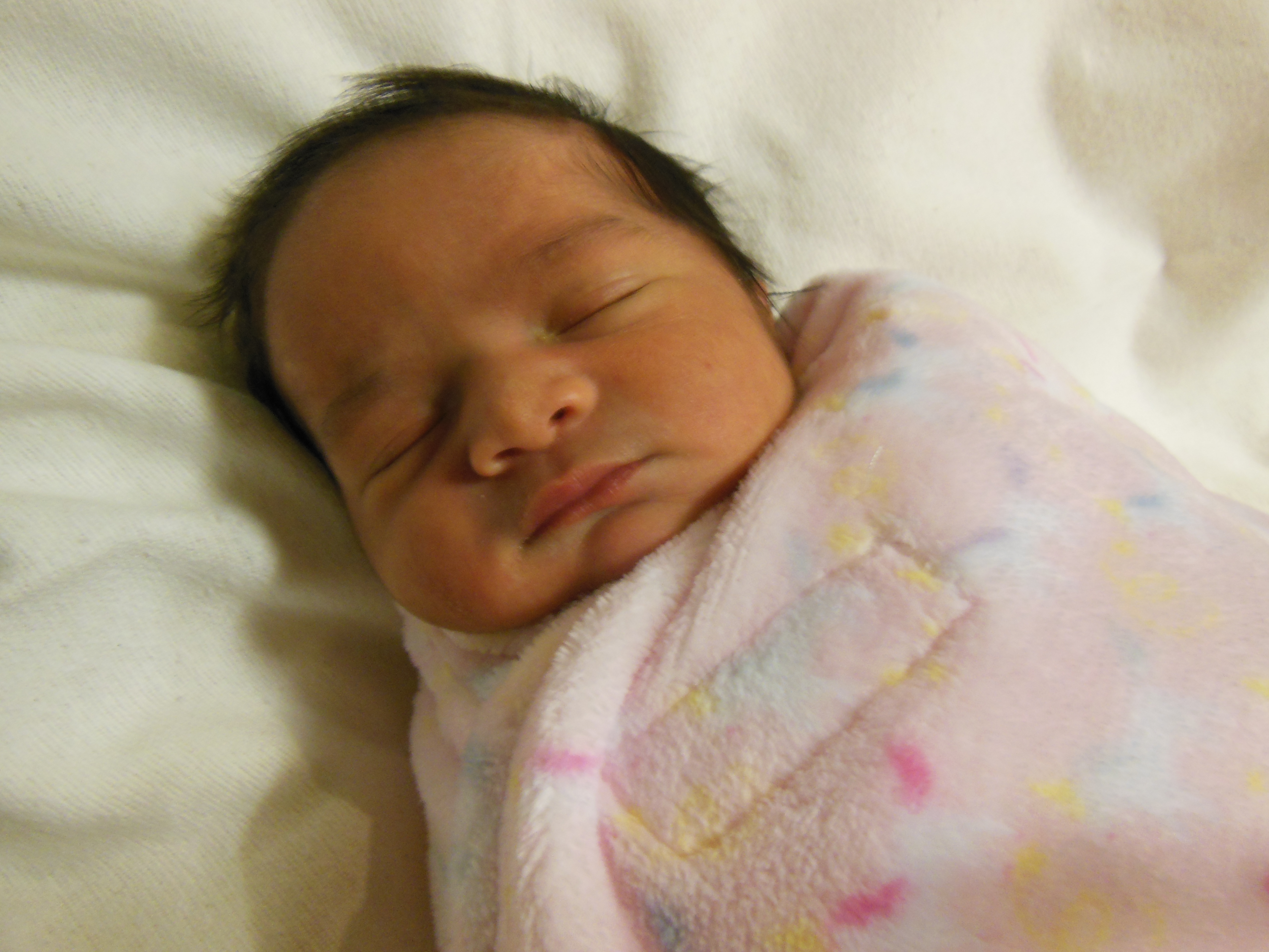 Lirin Fahima
