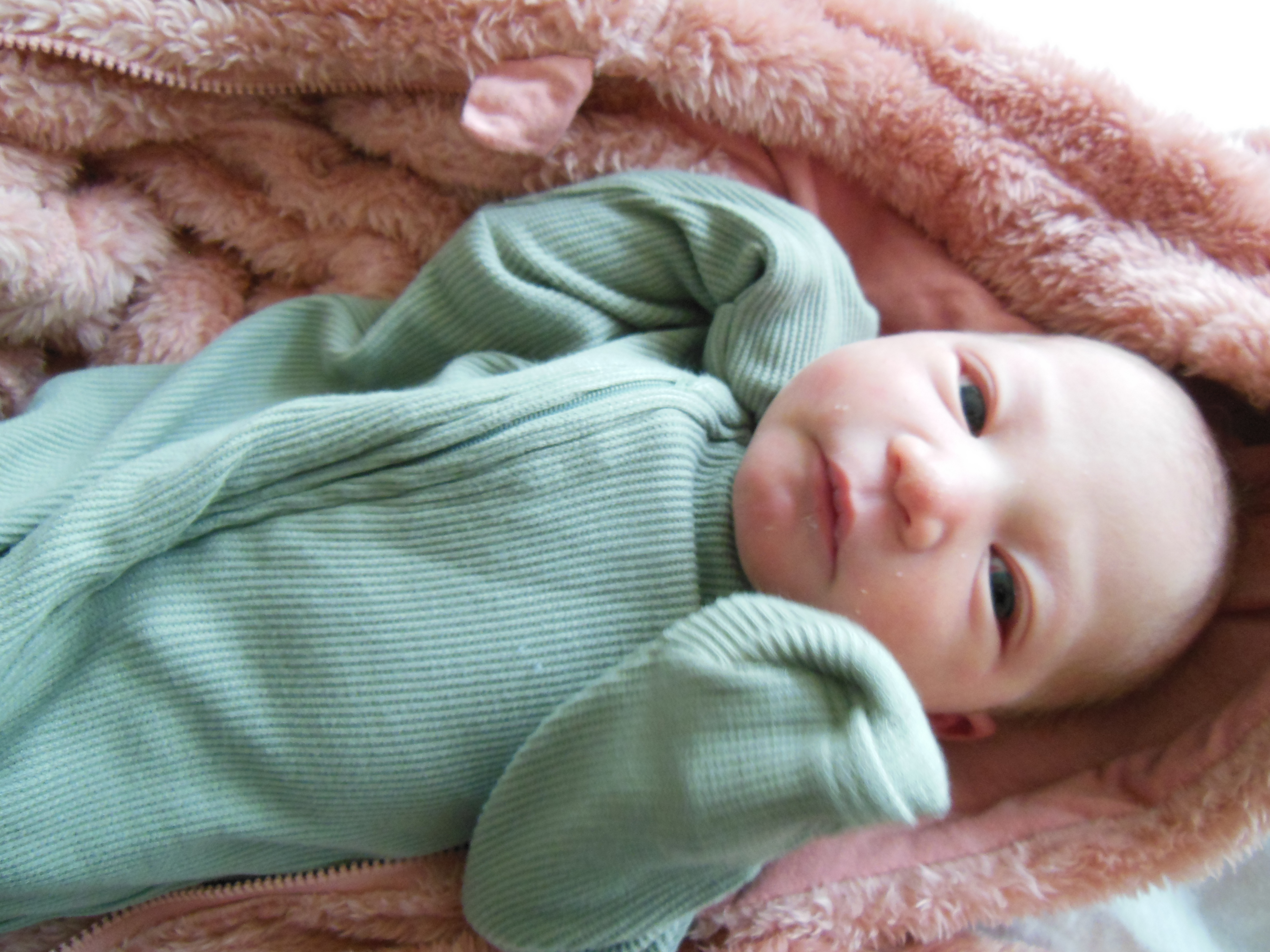 Arabella Ish-Mae