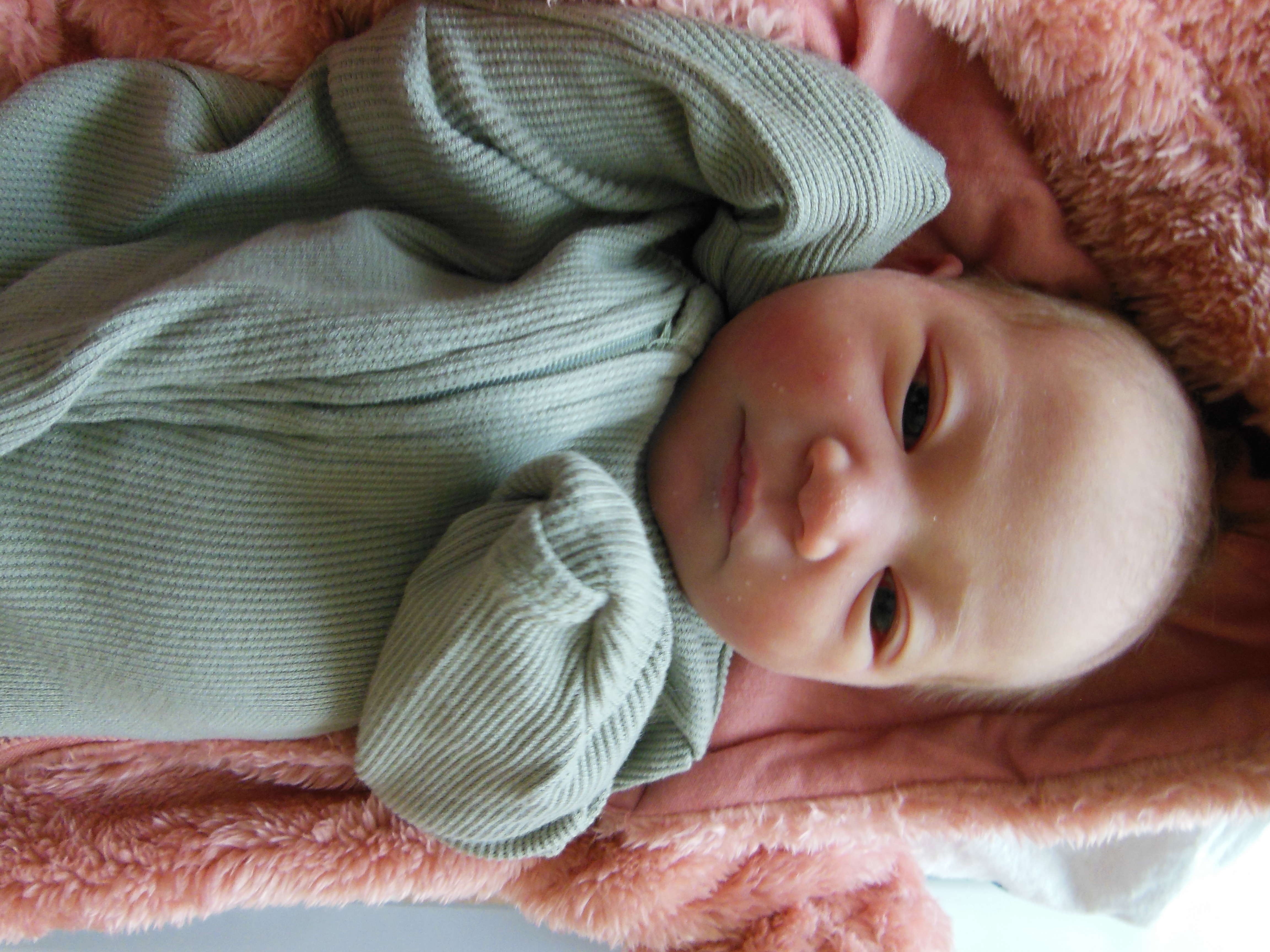 Arabella Ish-Mae