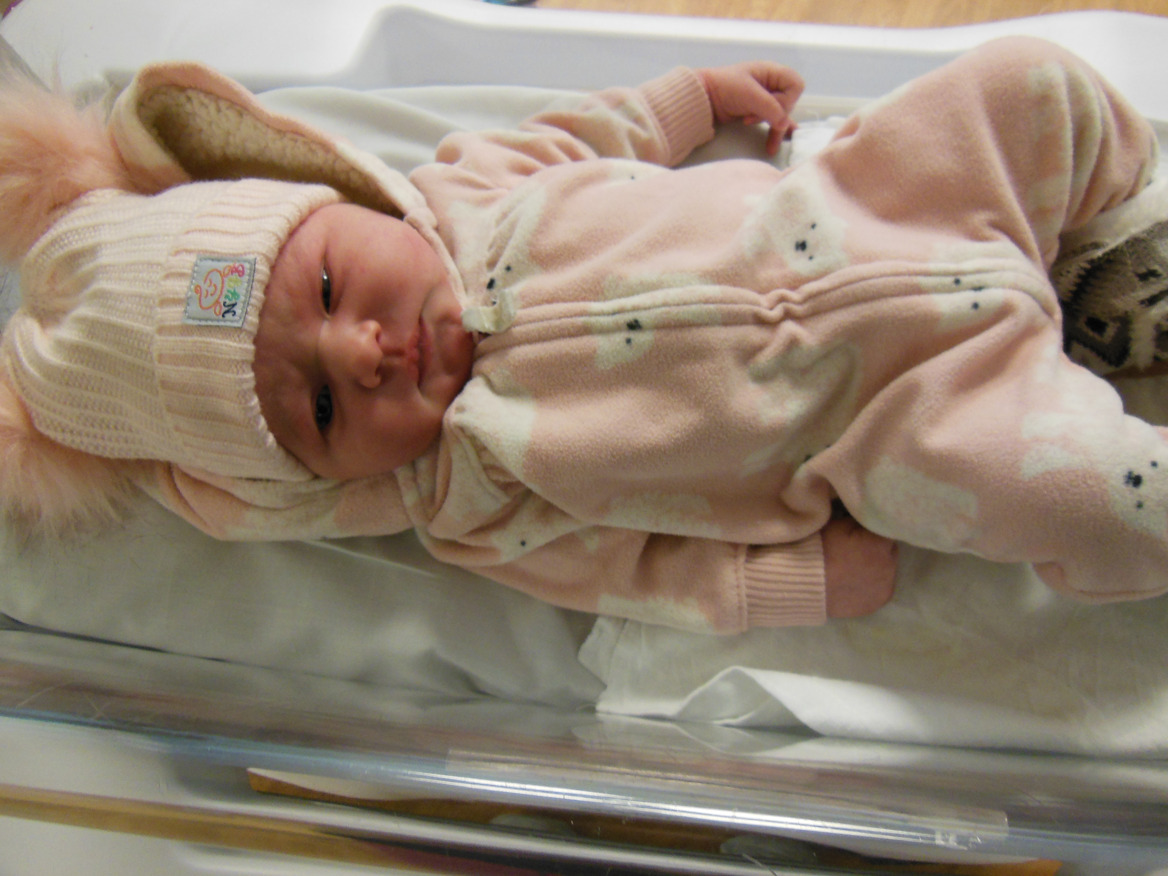 Nellie Lorianne