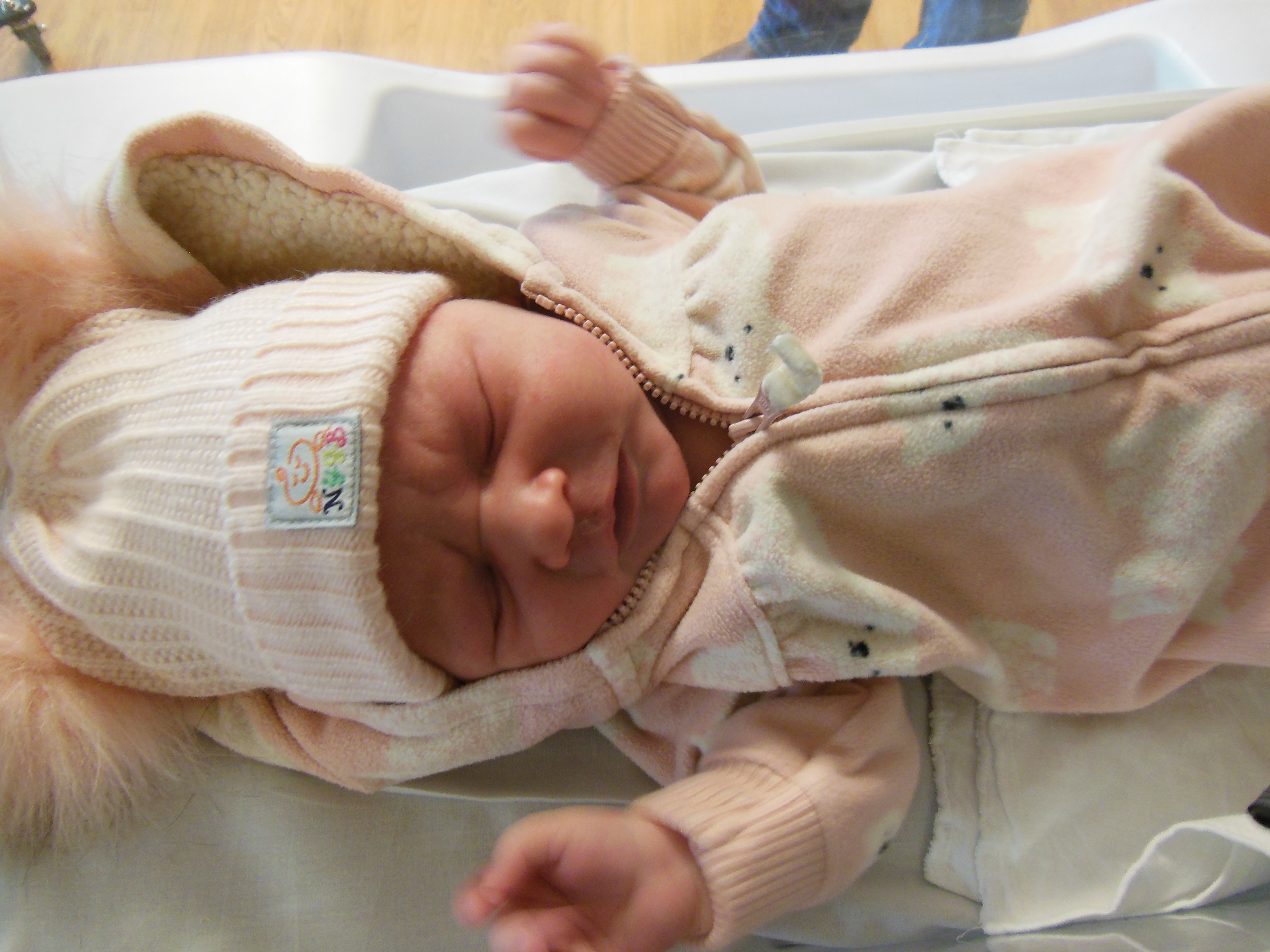 Nellie Lorianne