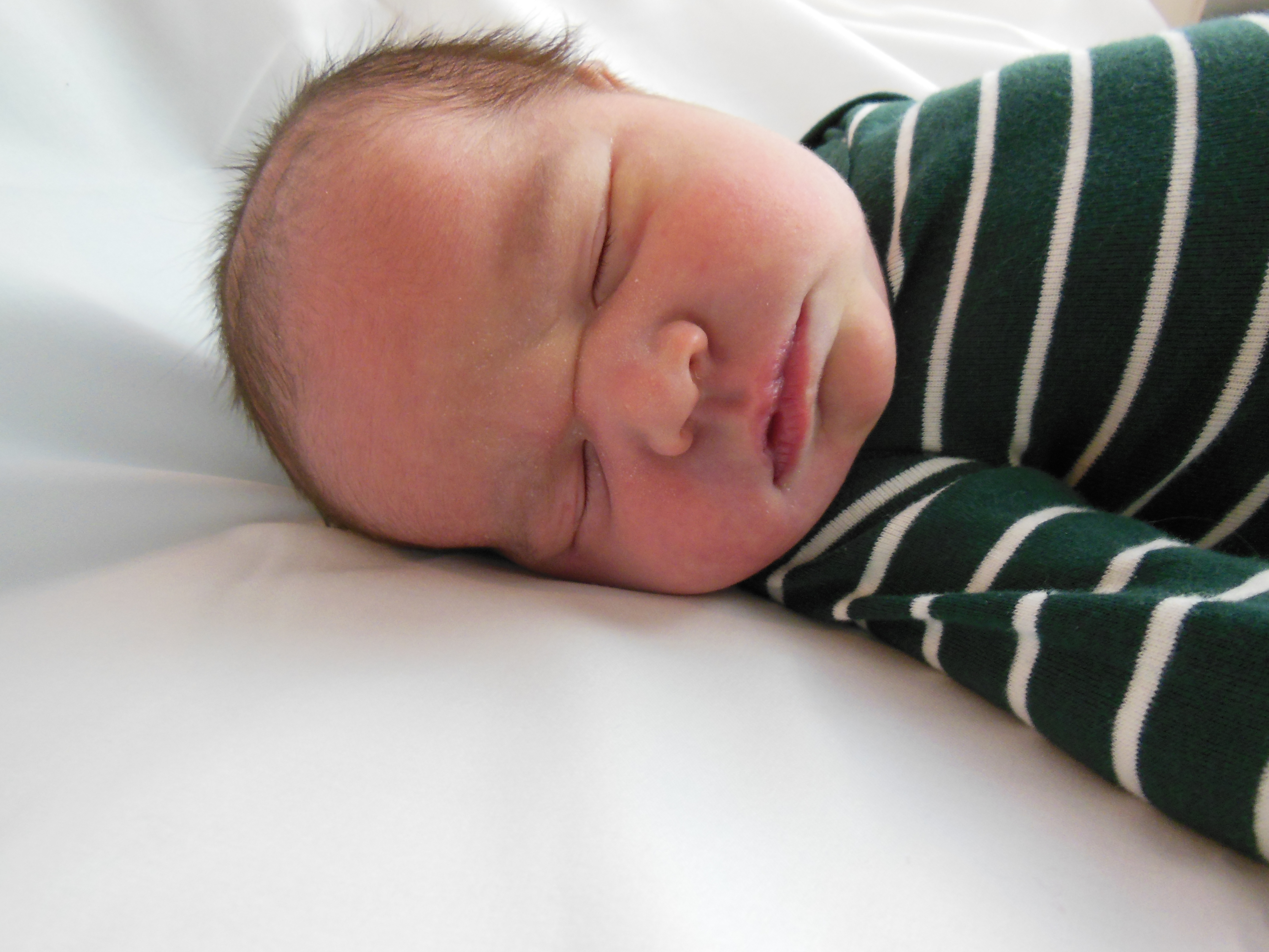 Beckett Tavita