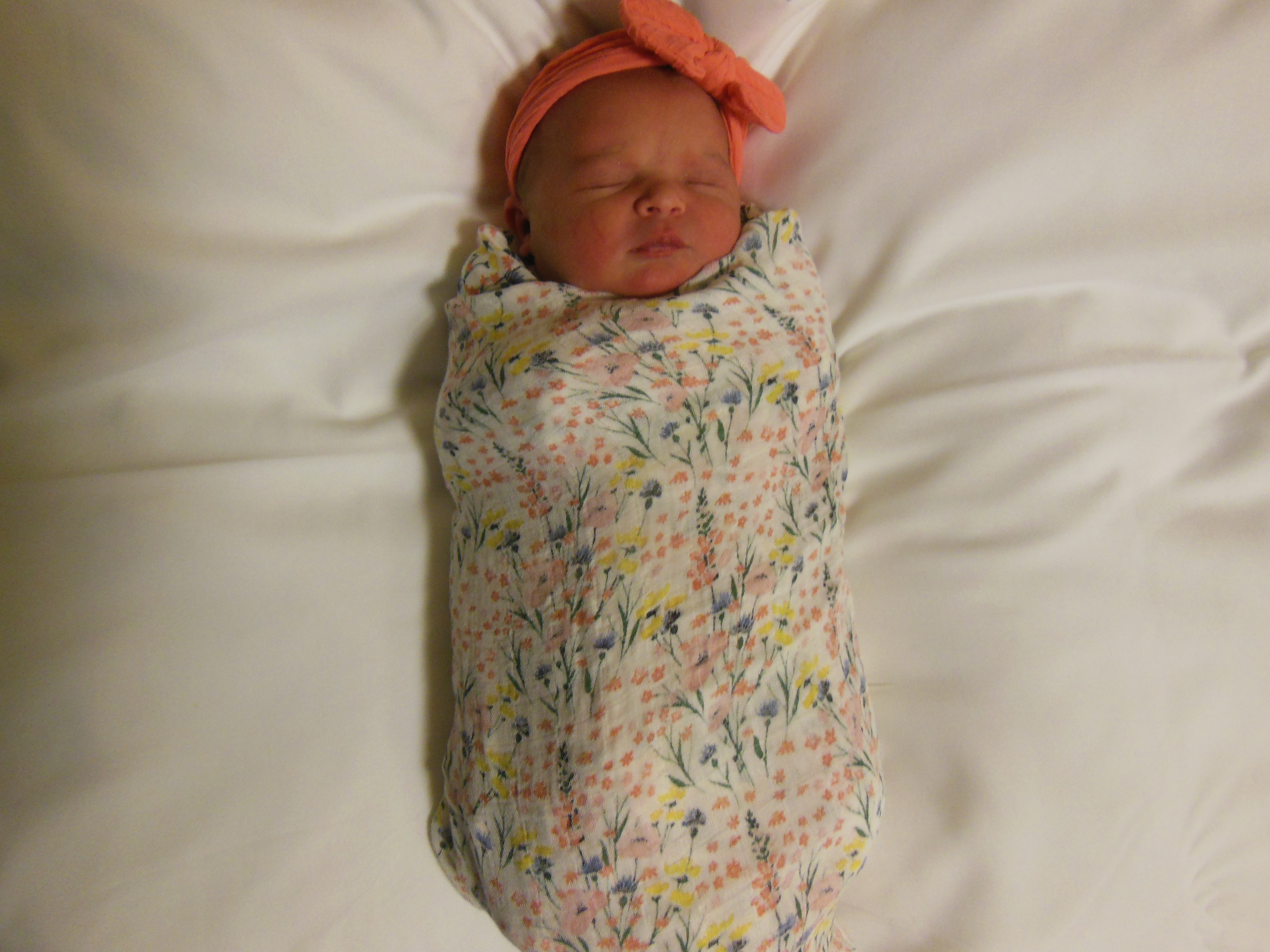 Emmie Katherine