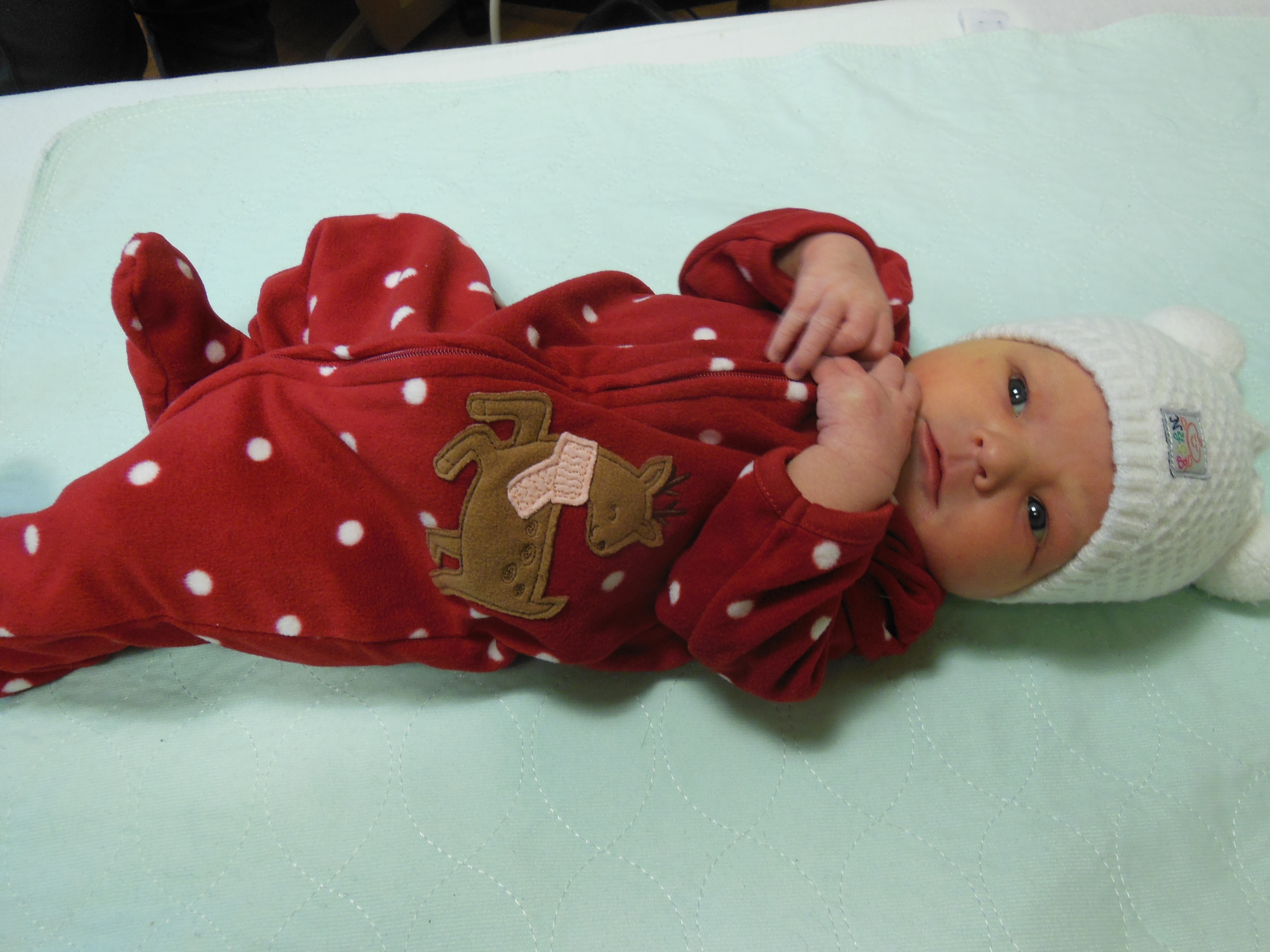 Brynlee Ann 