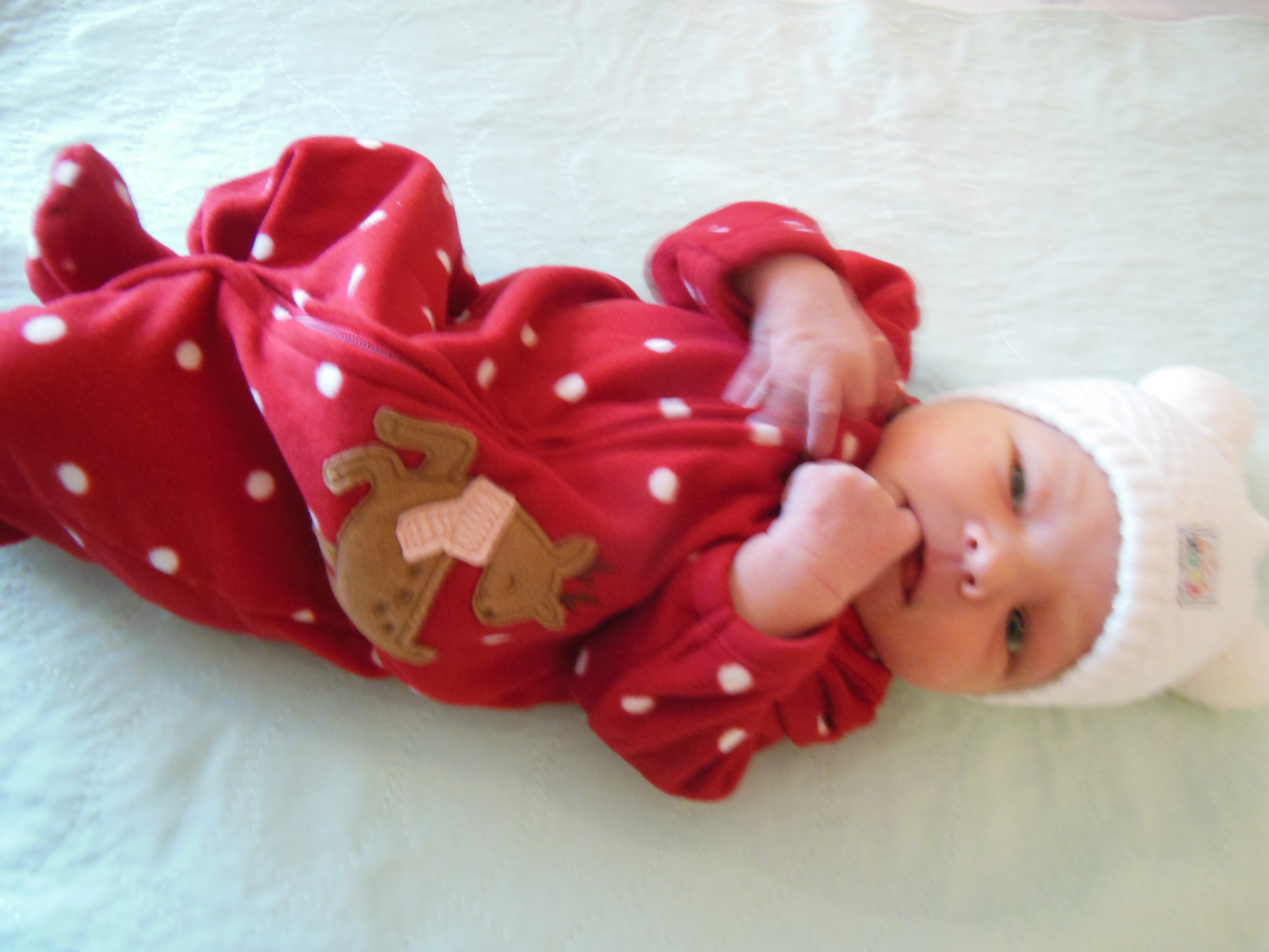 Brynlee Ann 