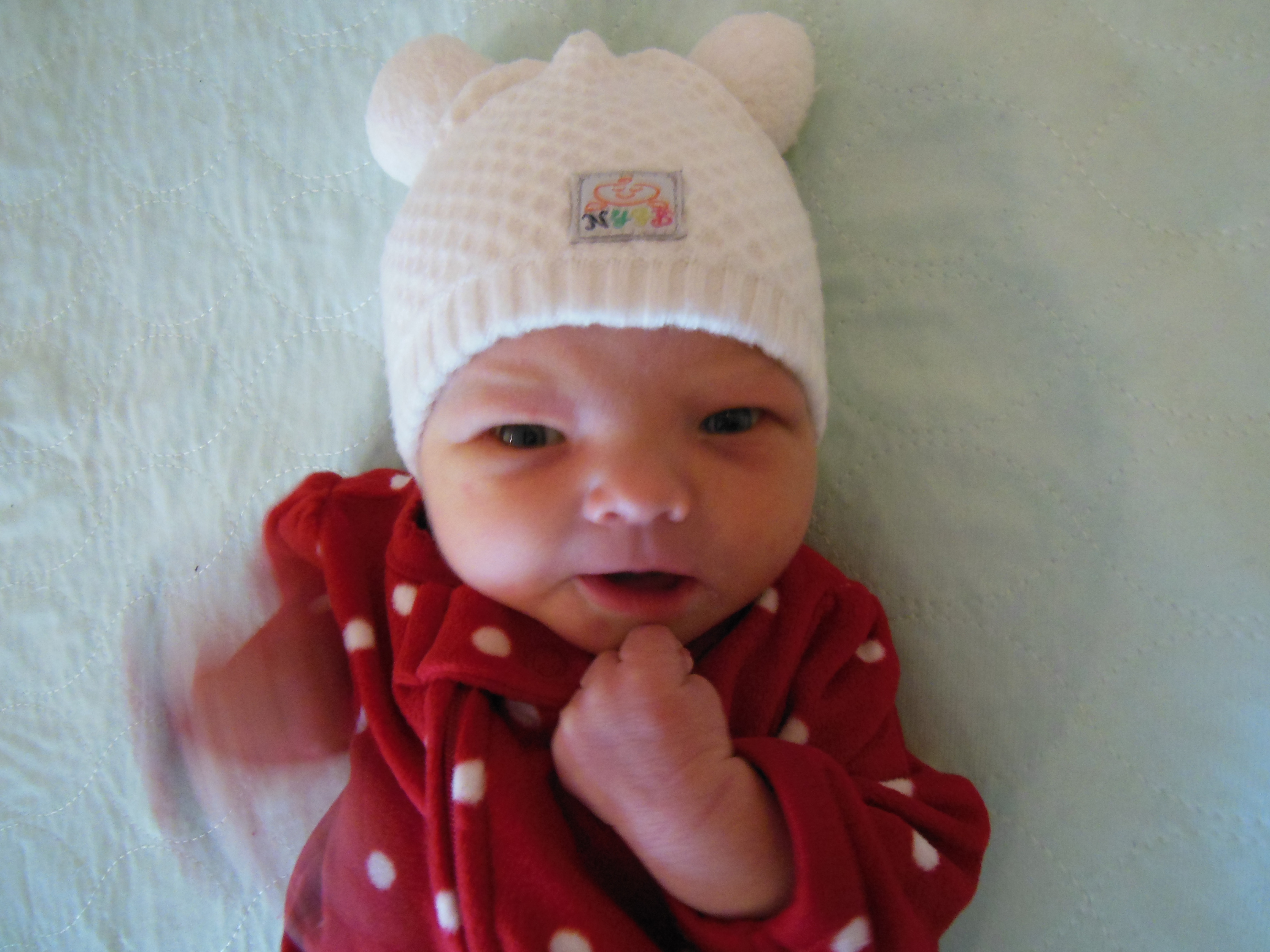 Brynlee Ann 