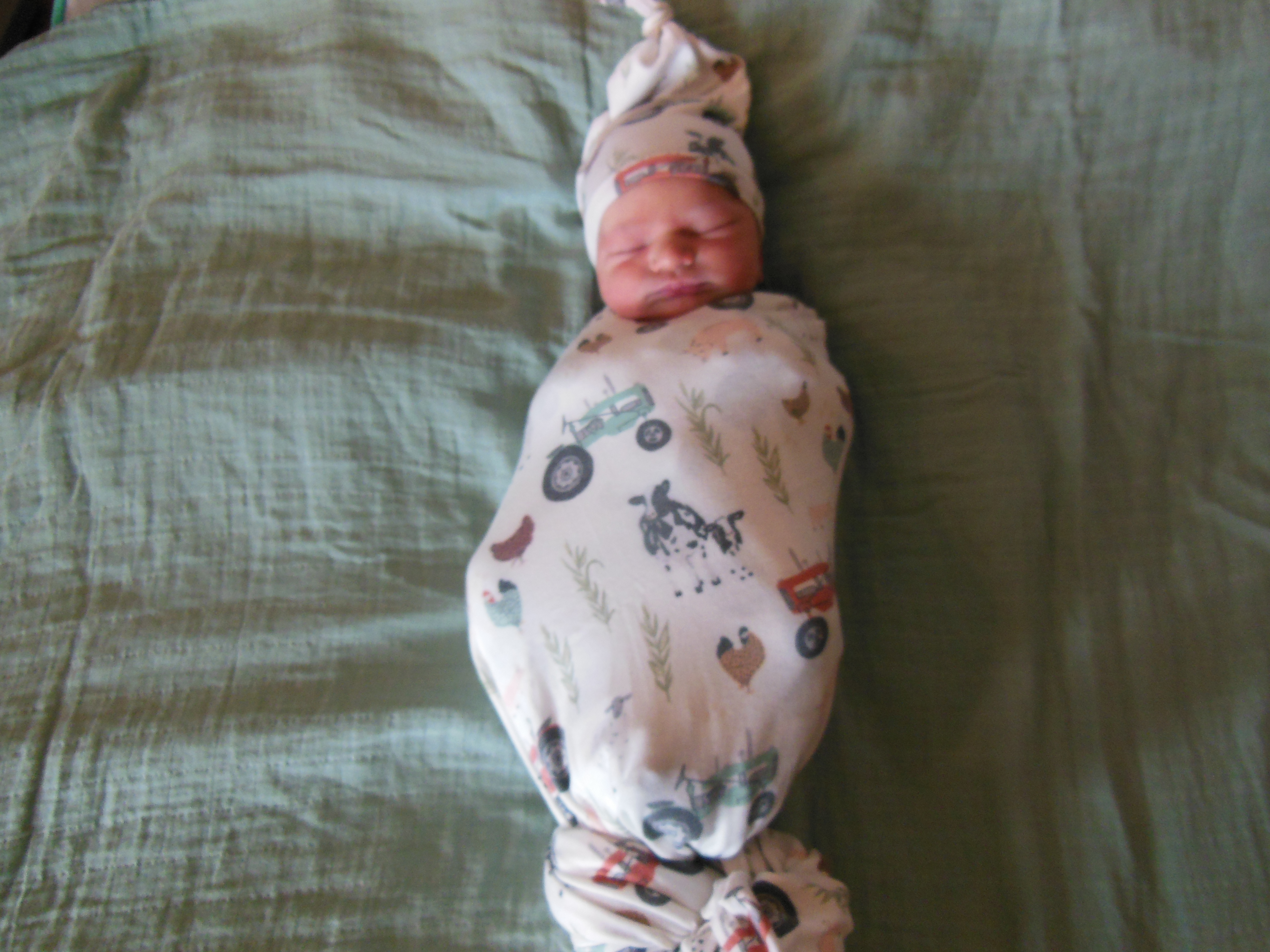 Clarence David