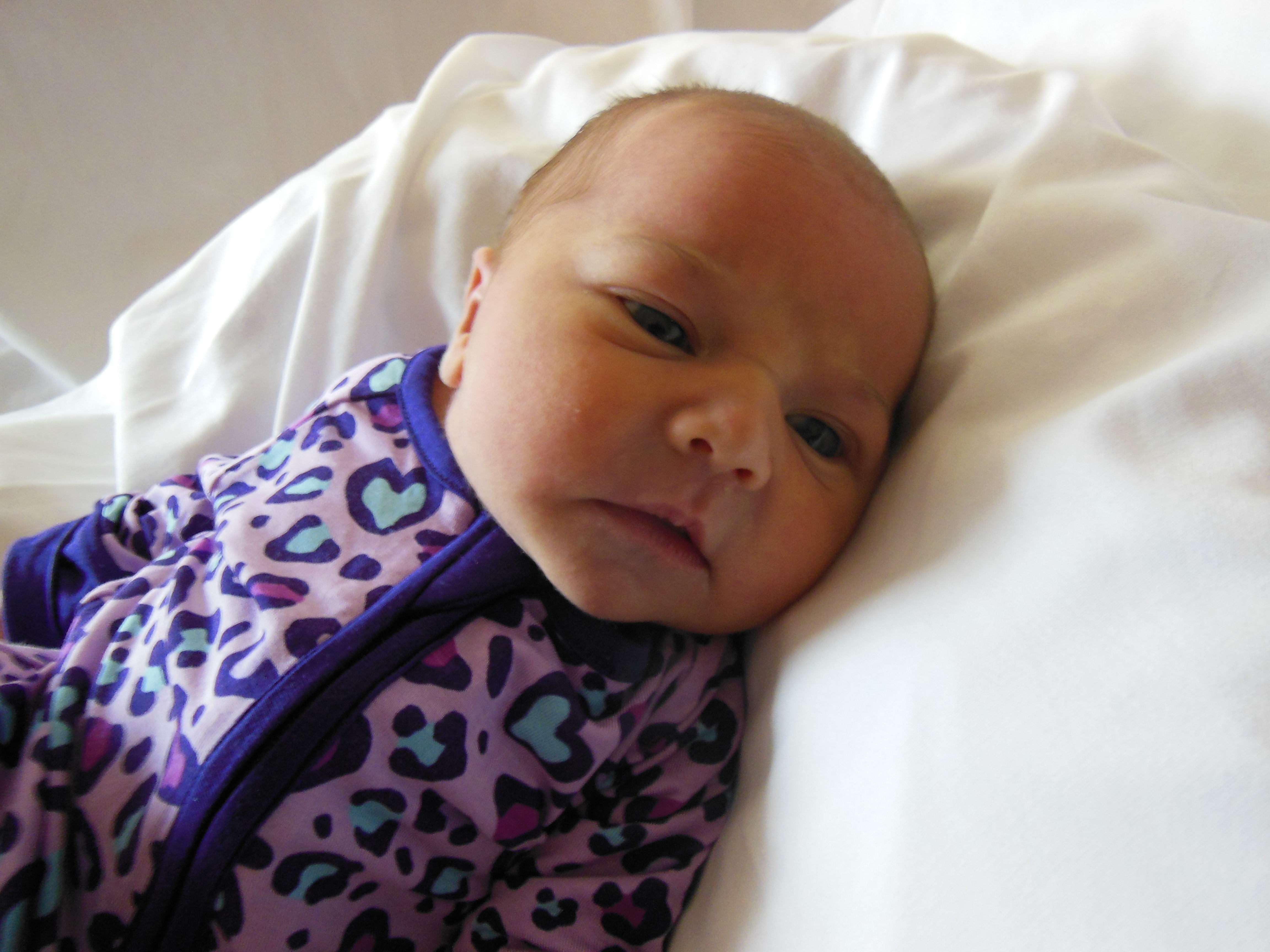 Viviana Embrey