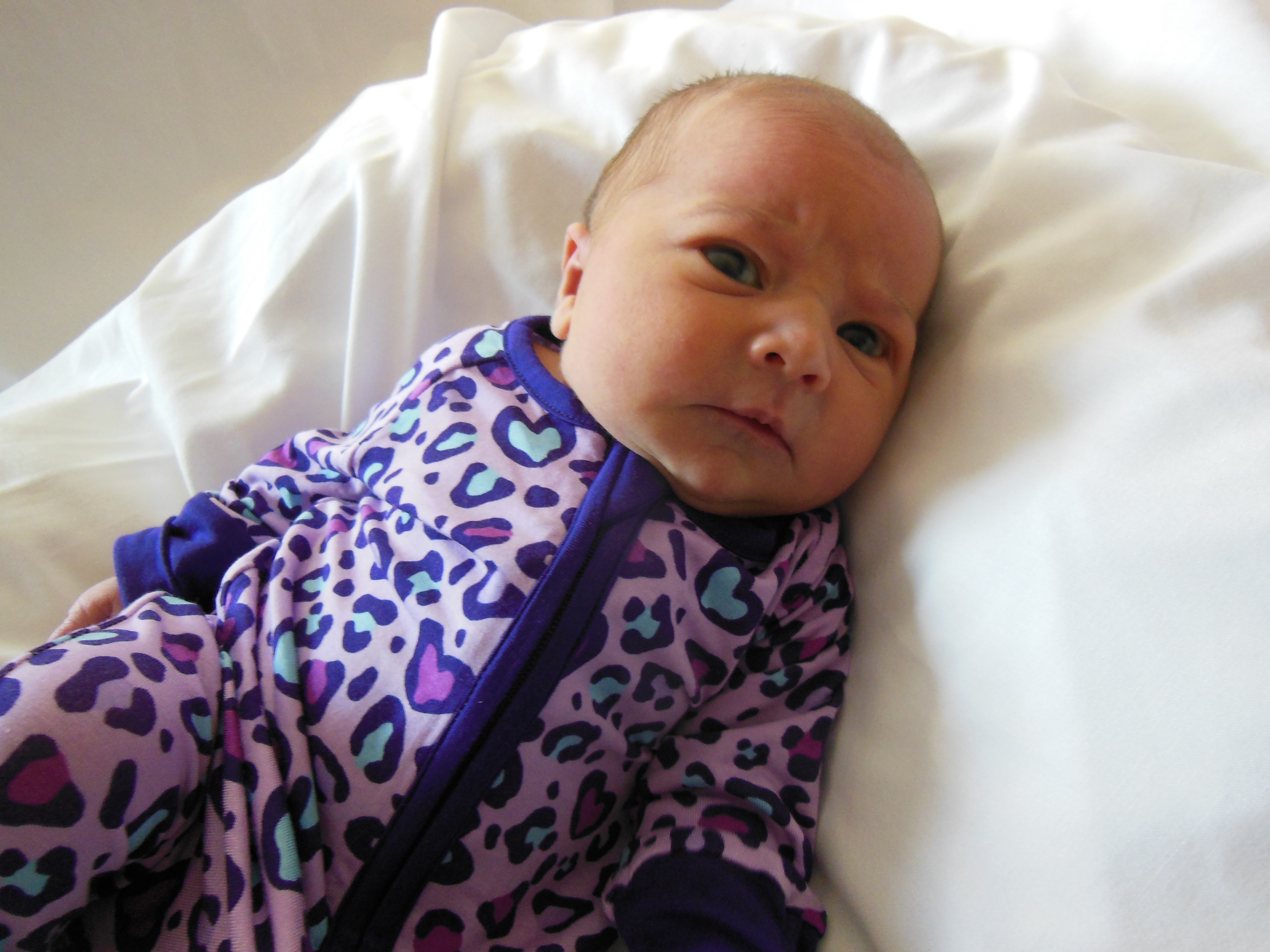 Viviana Embrey