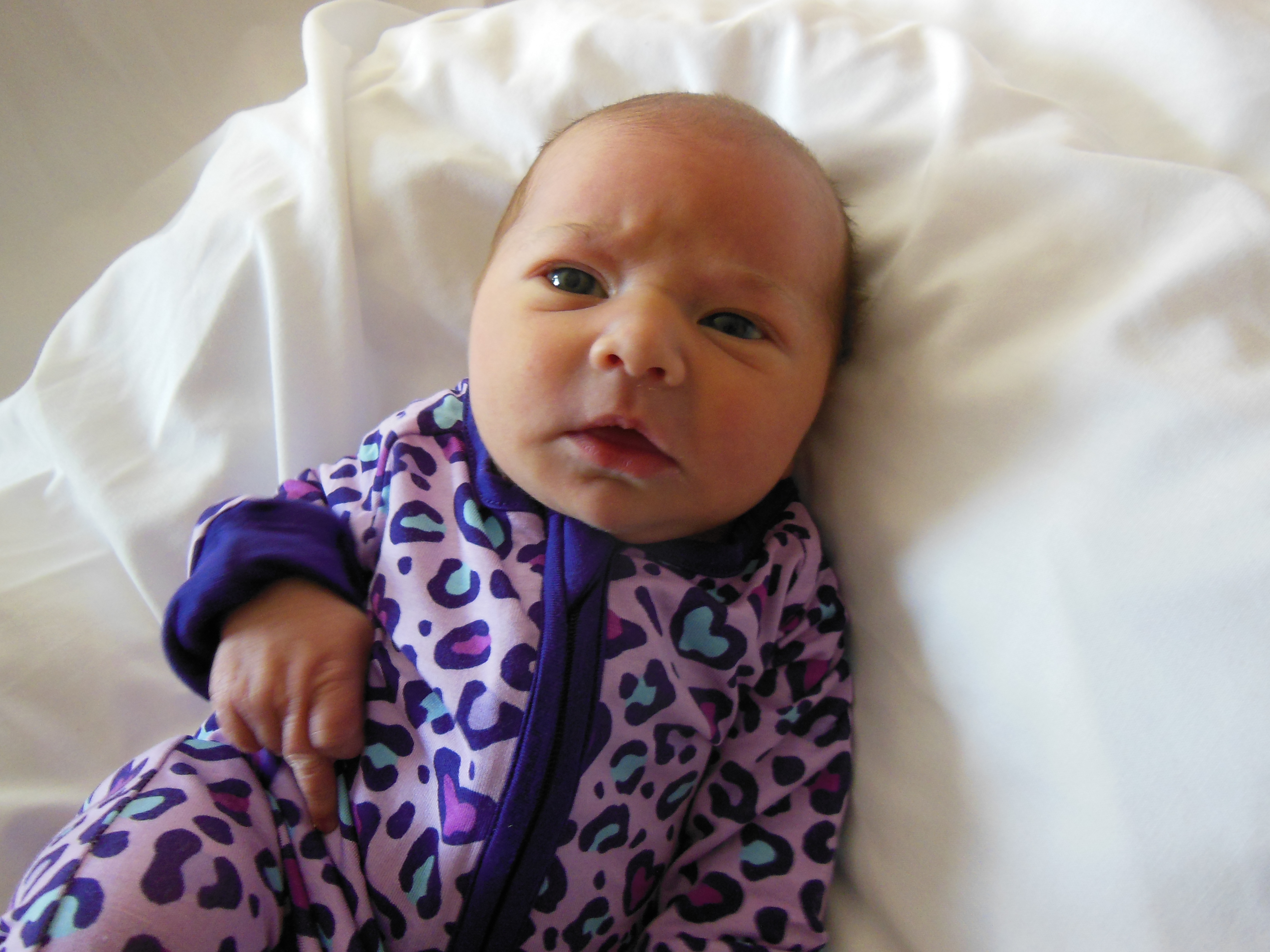 Viviana Embrey