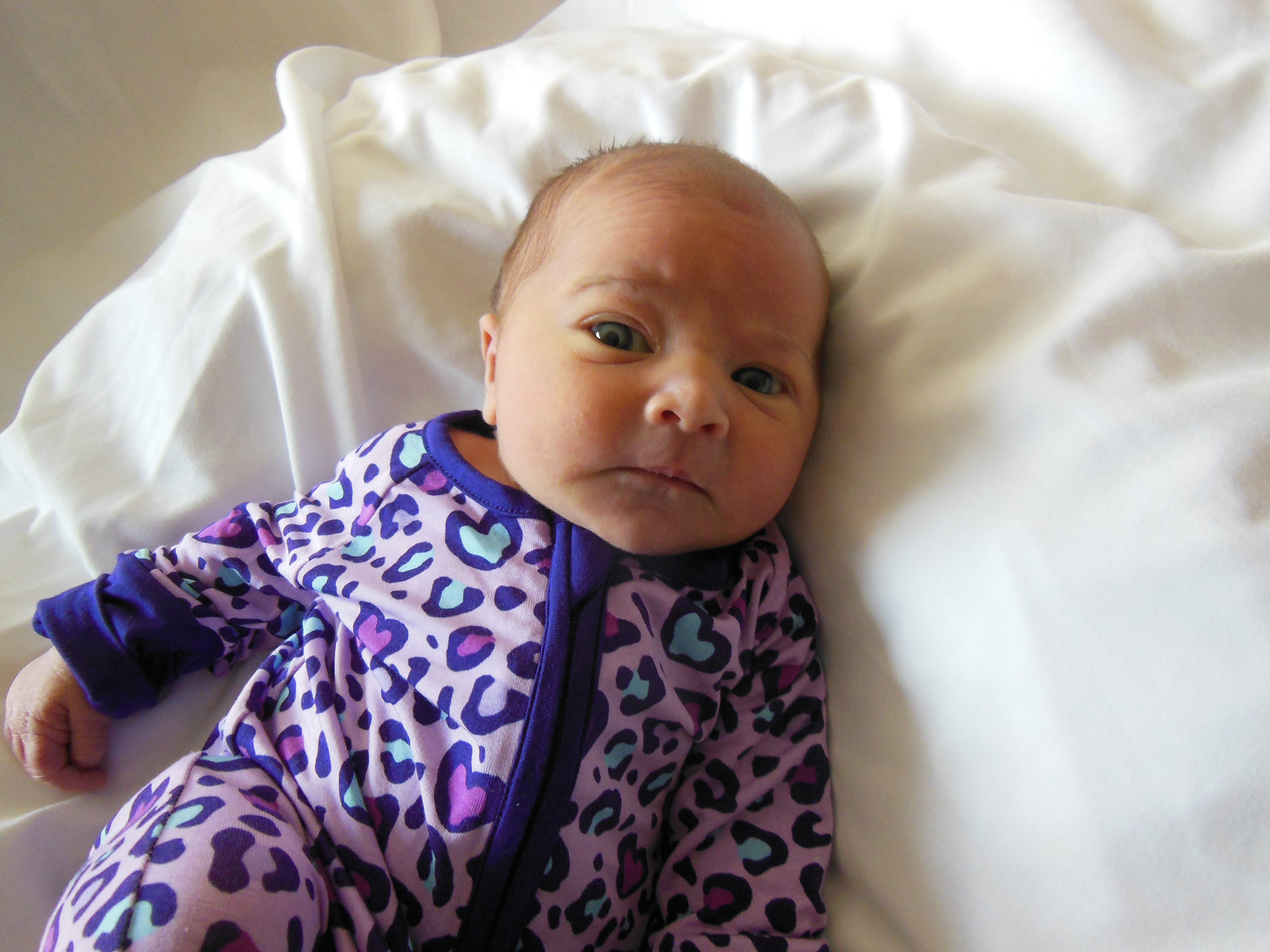 Viviana Embrey