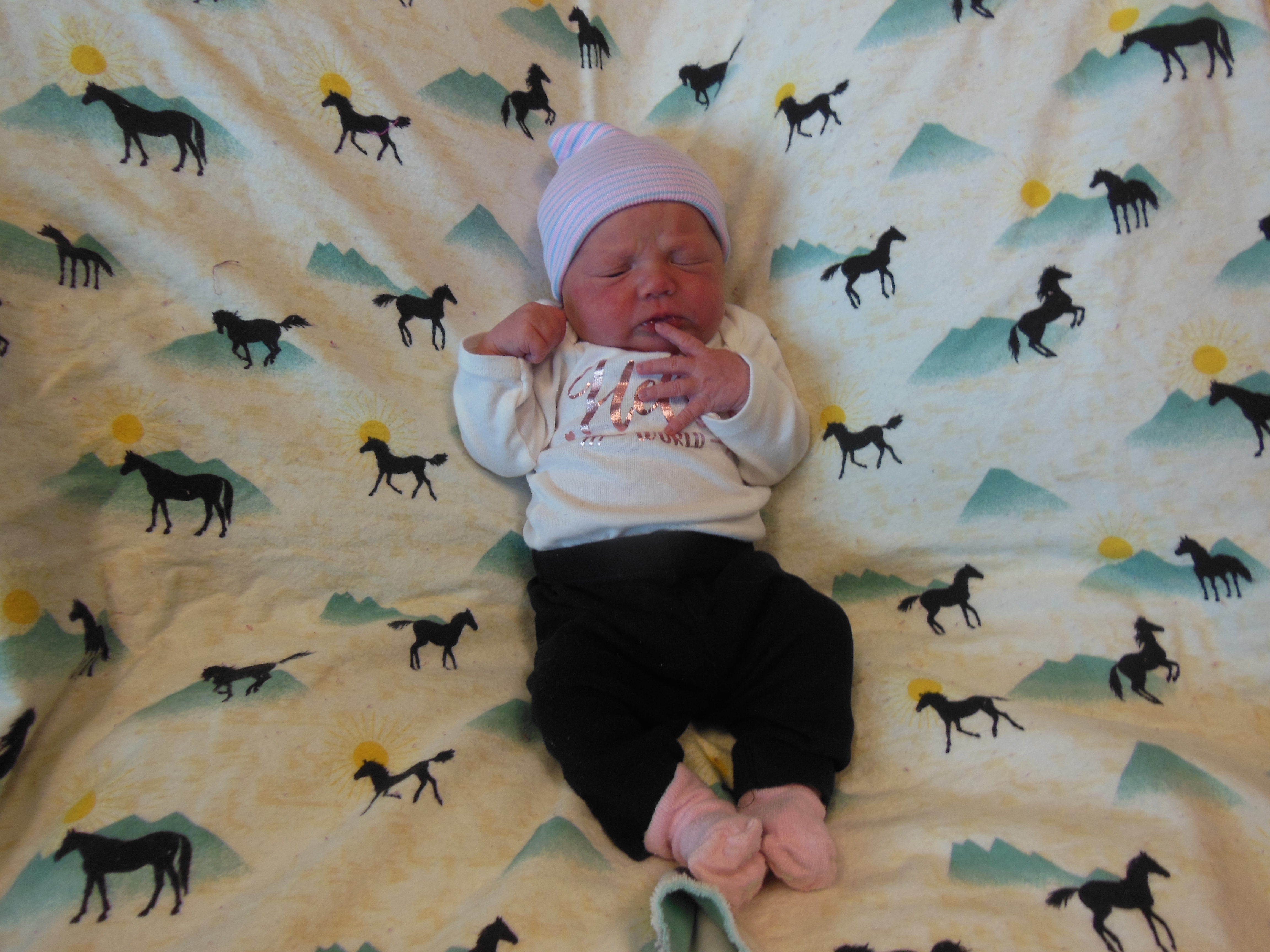 Wrenlee Dawn