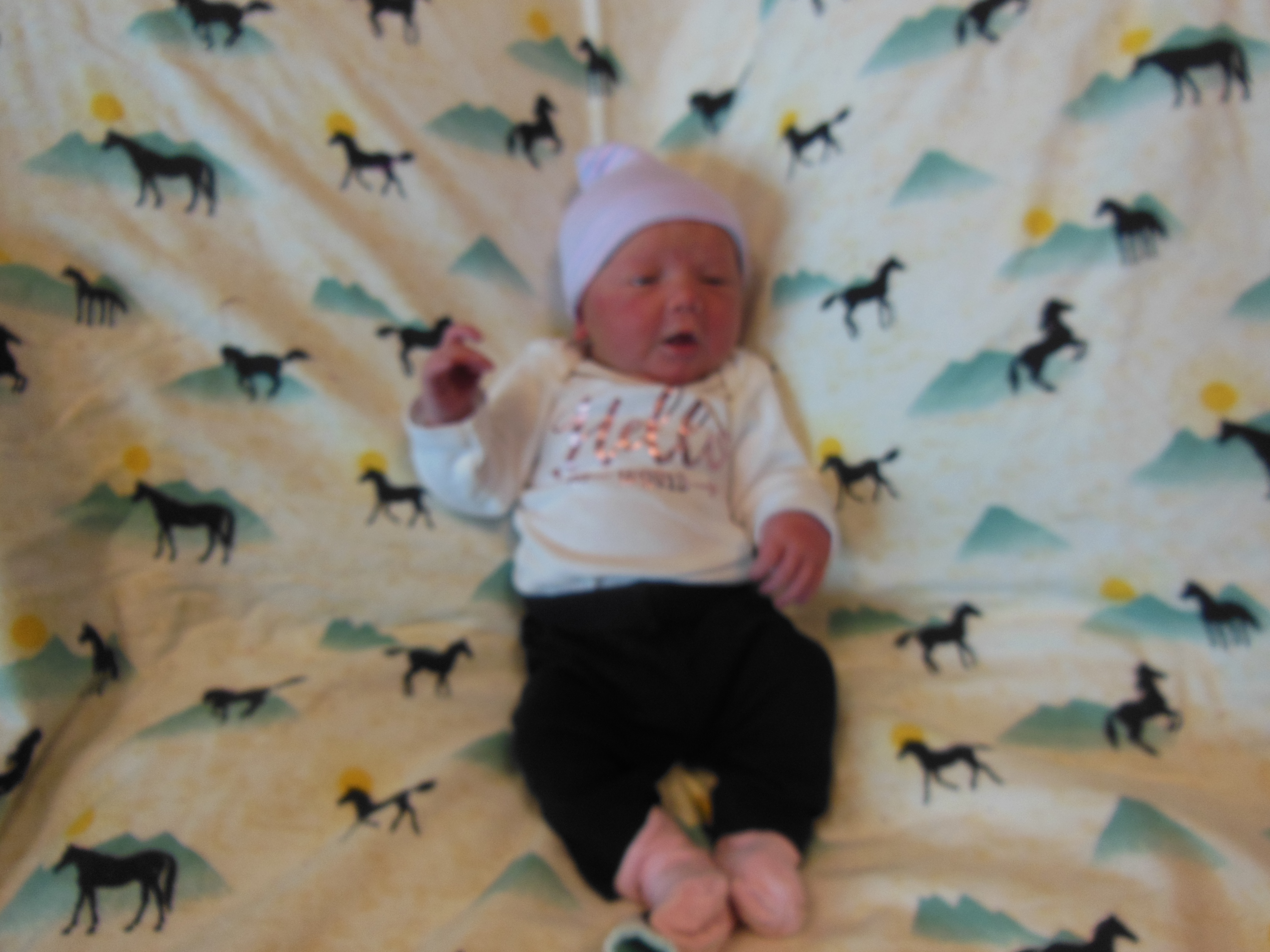 Wrenlee Dawn