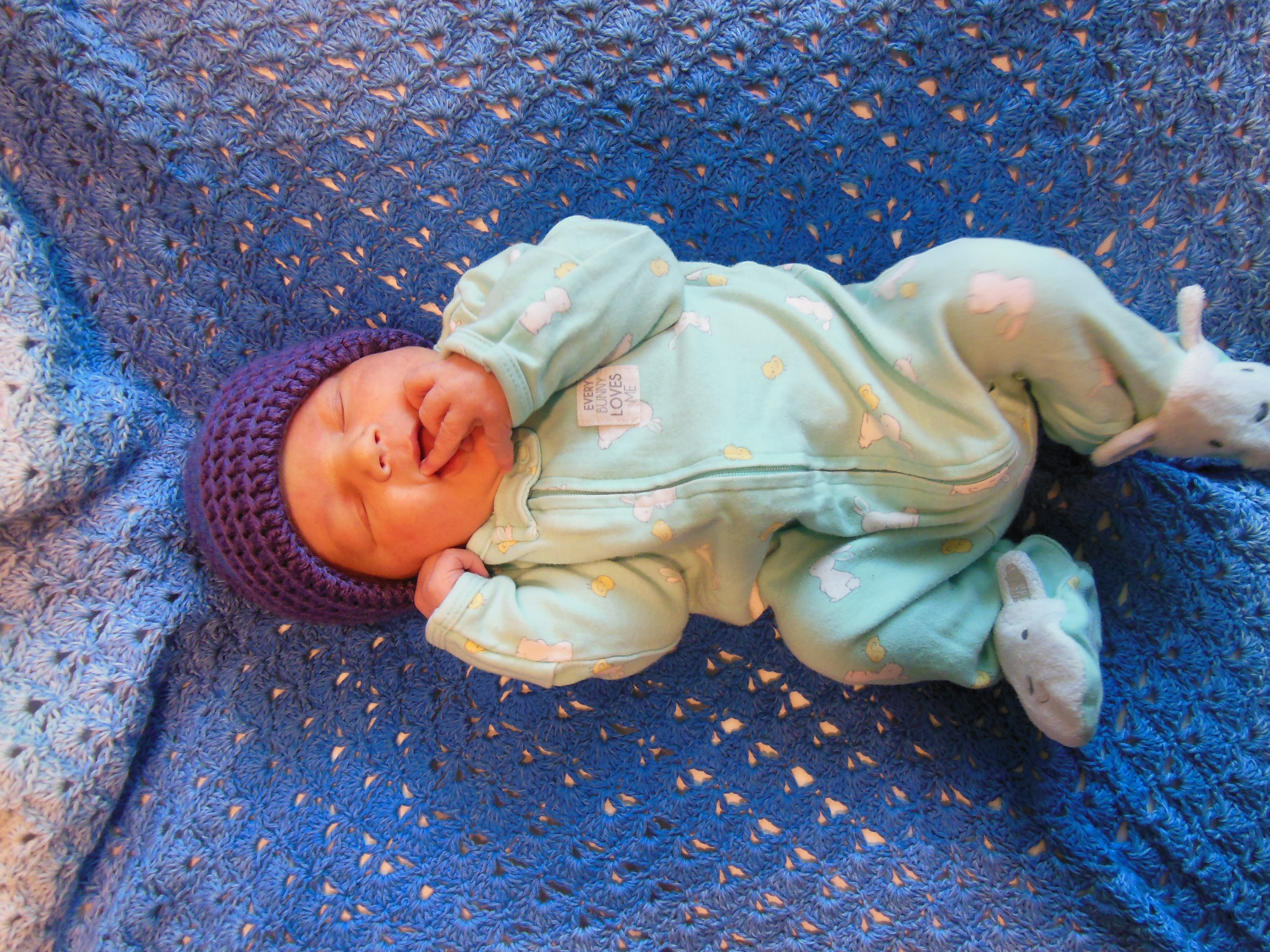 Caleb Alexander