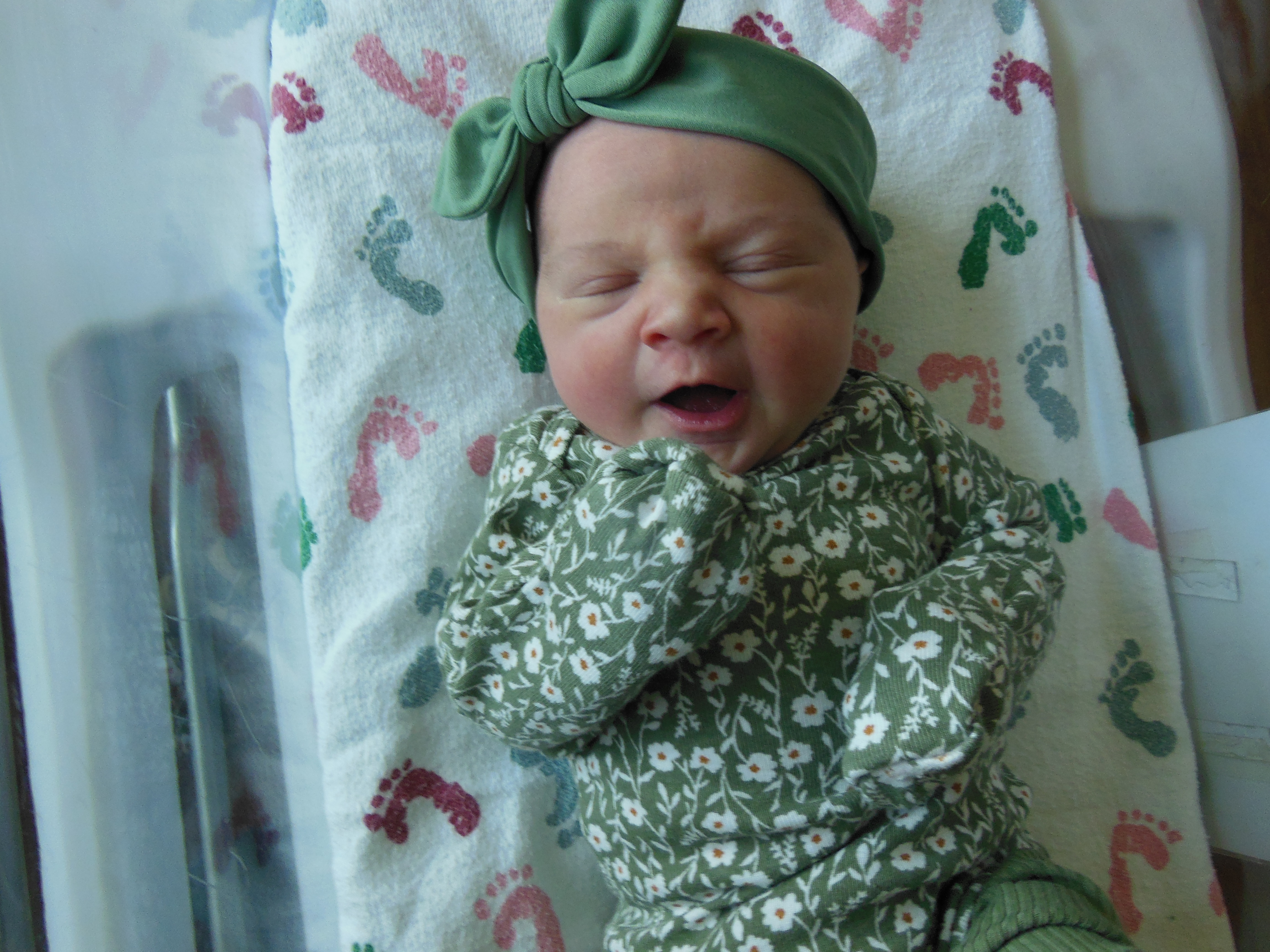 Hazel Maeve 
