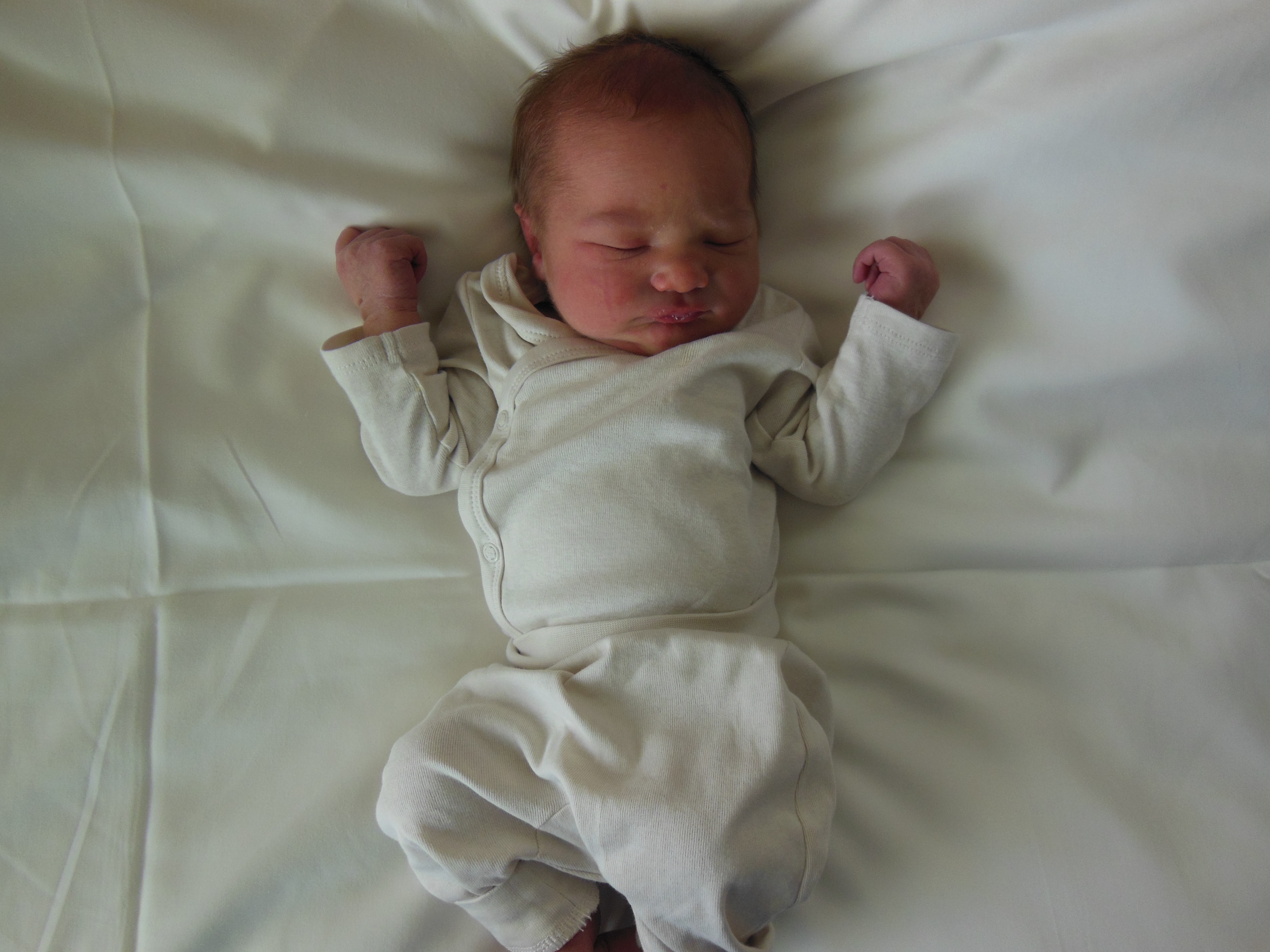 Hudson-James