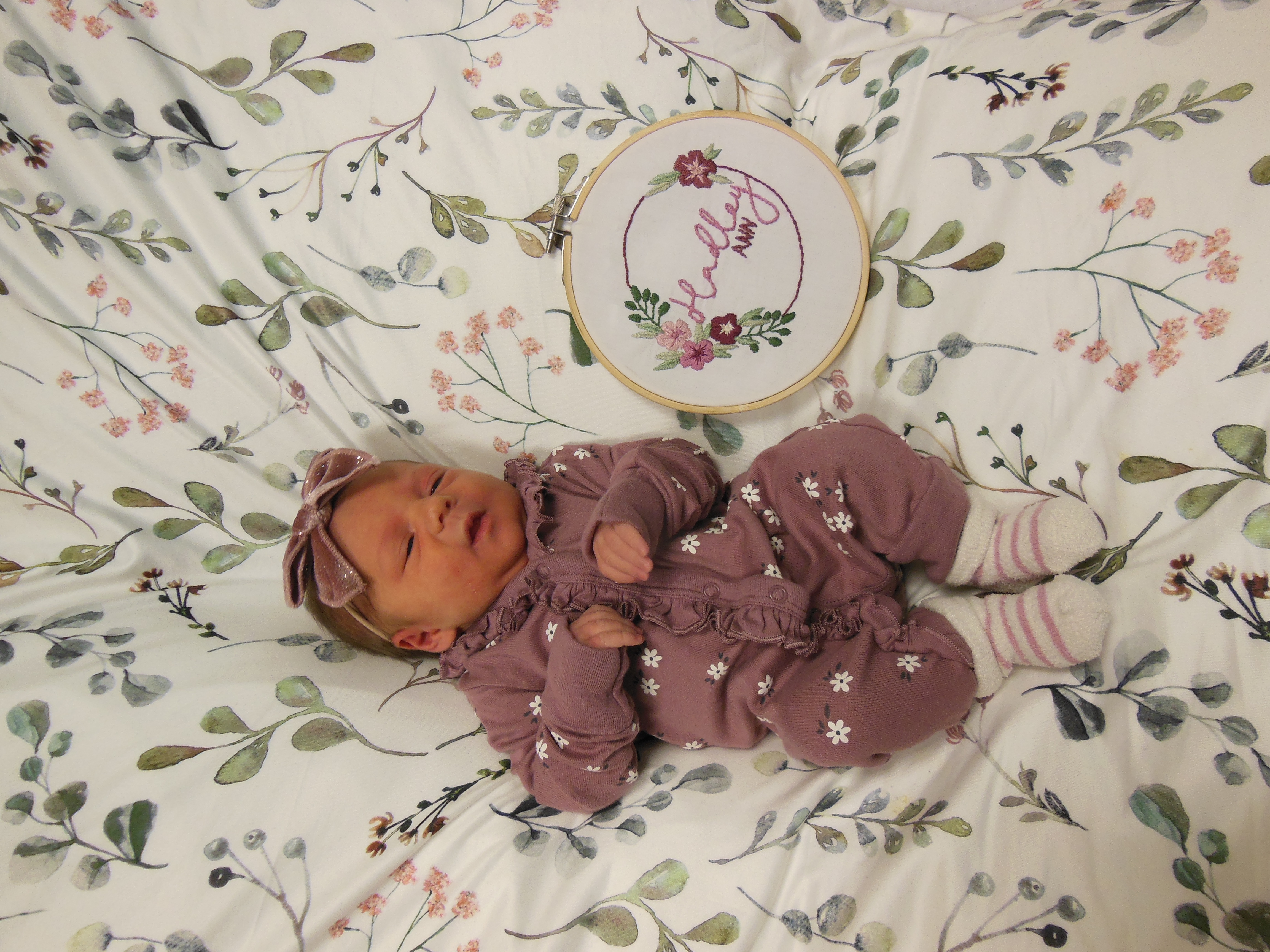 Hadley-Ann