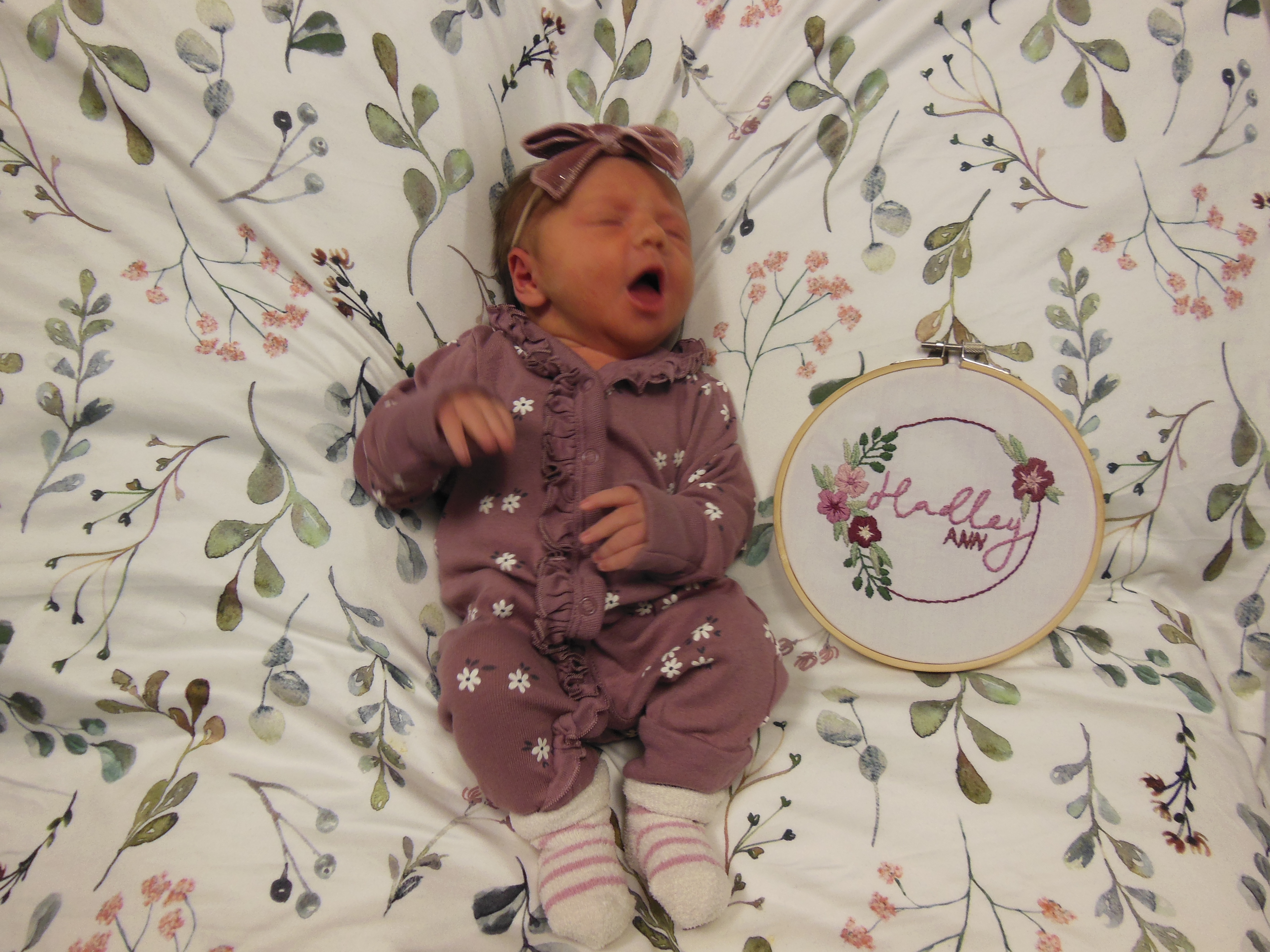 Hadley-Ann