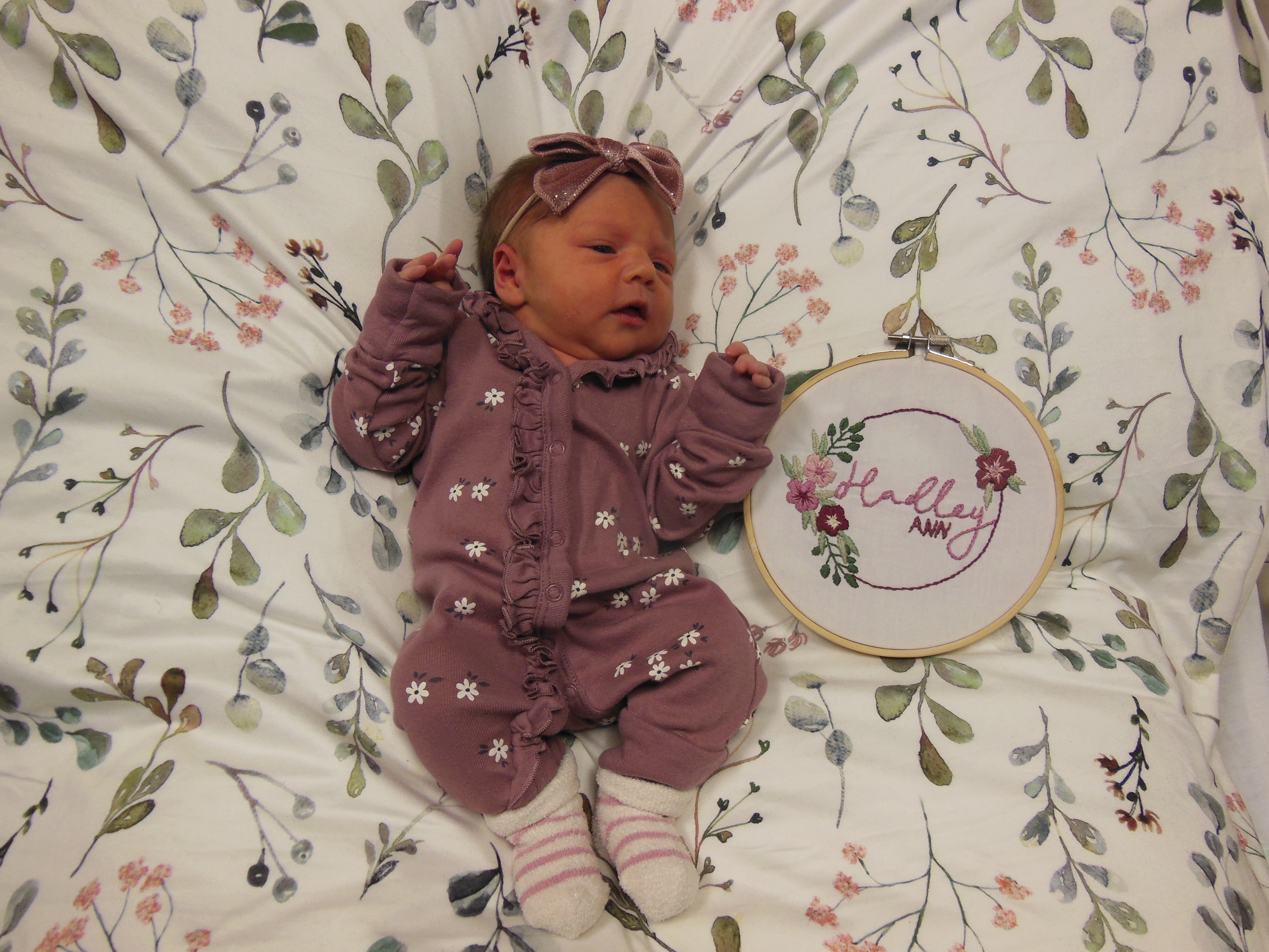 Hadley-Ann