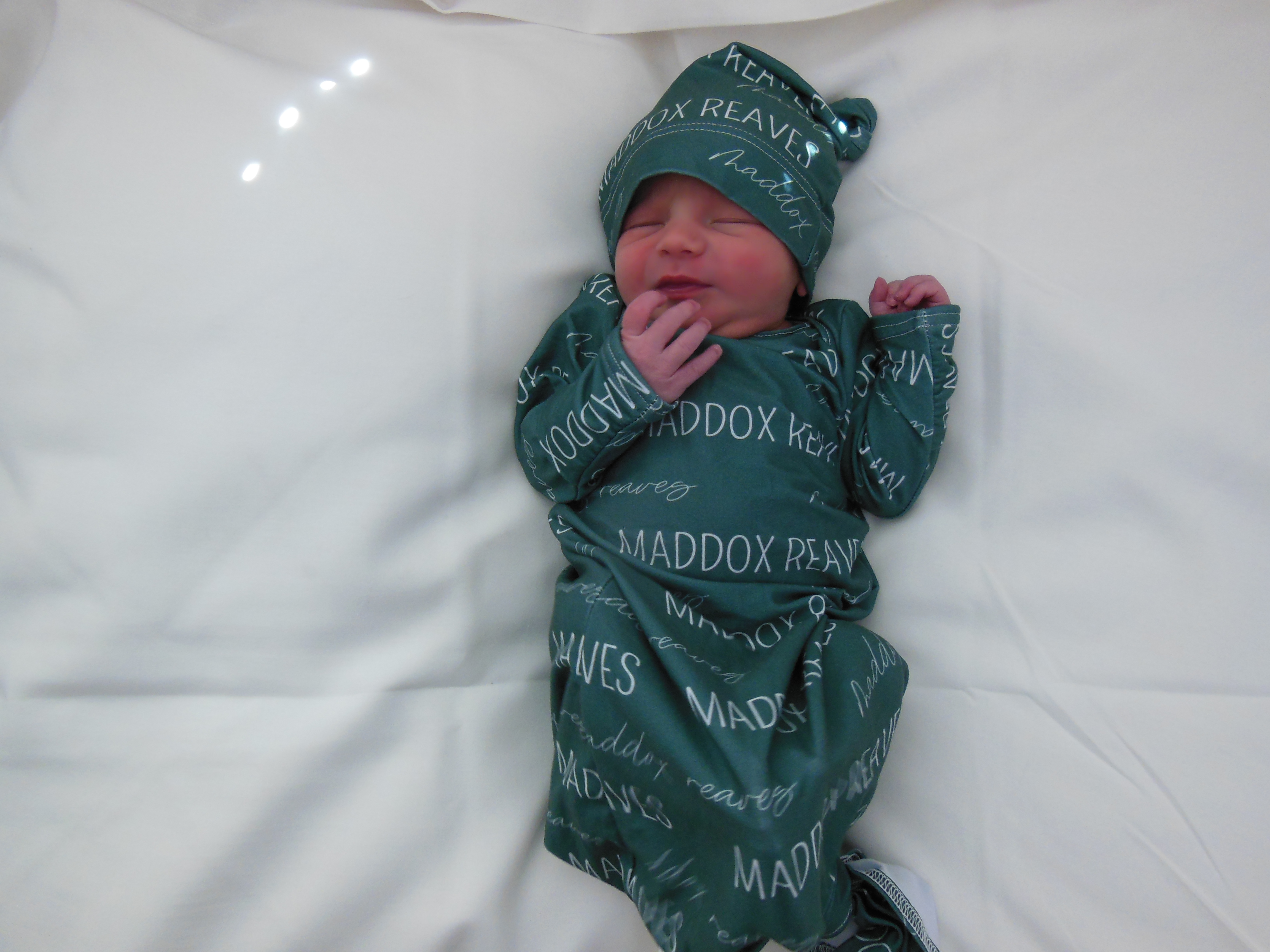 Maddox Zenner