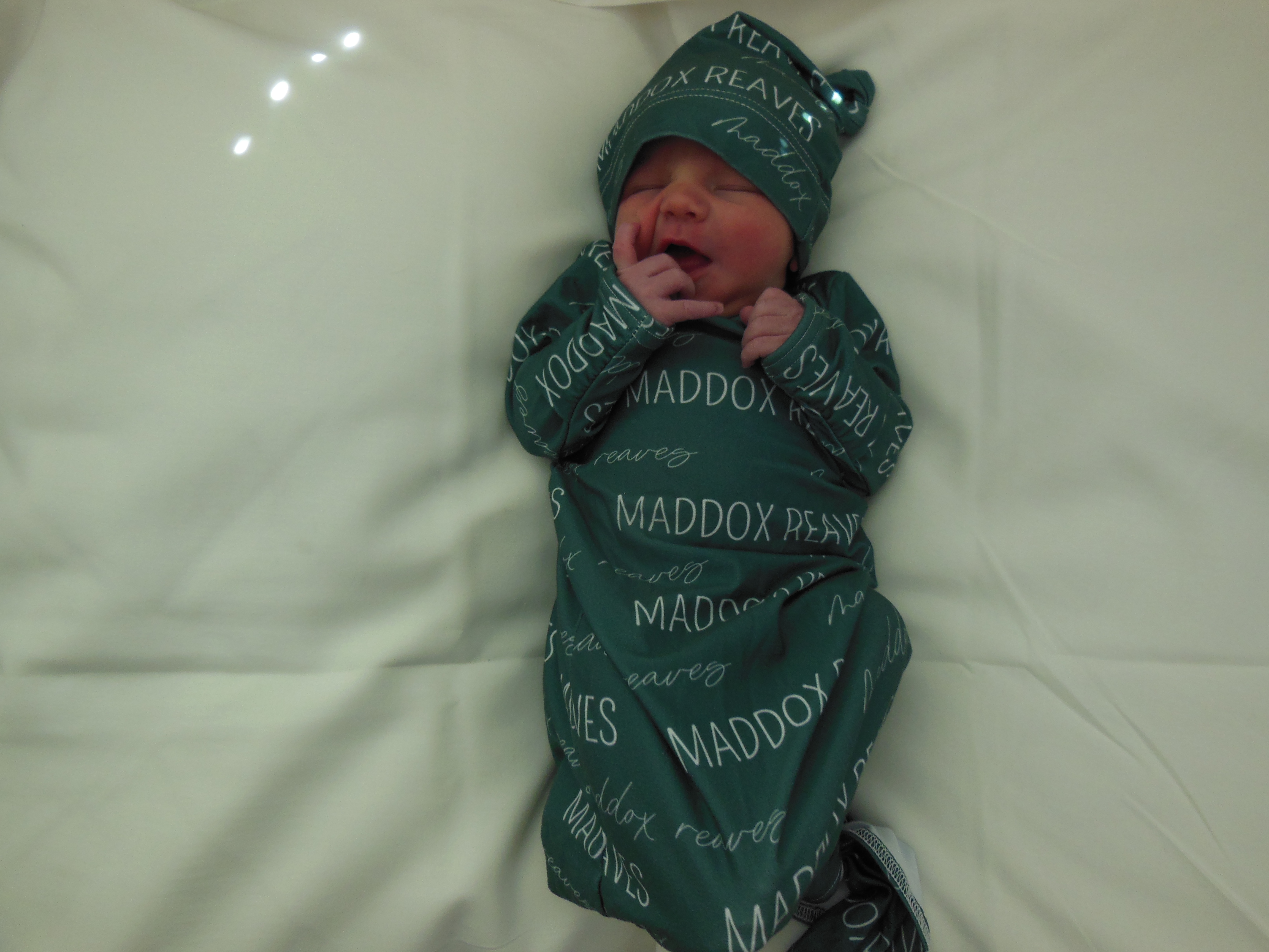 Maddox Zenner