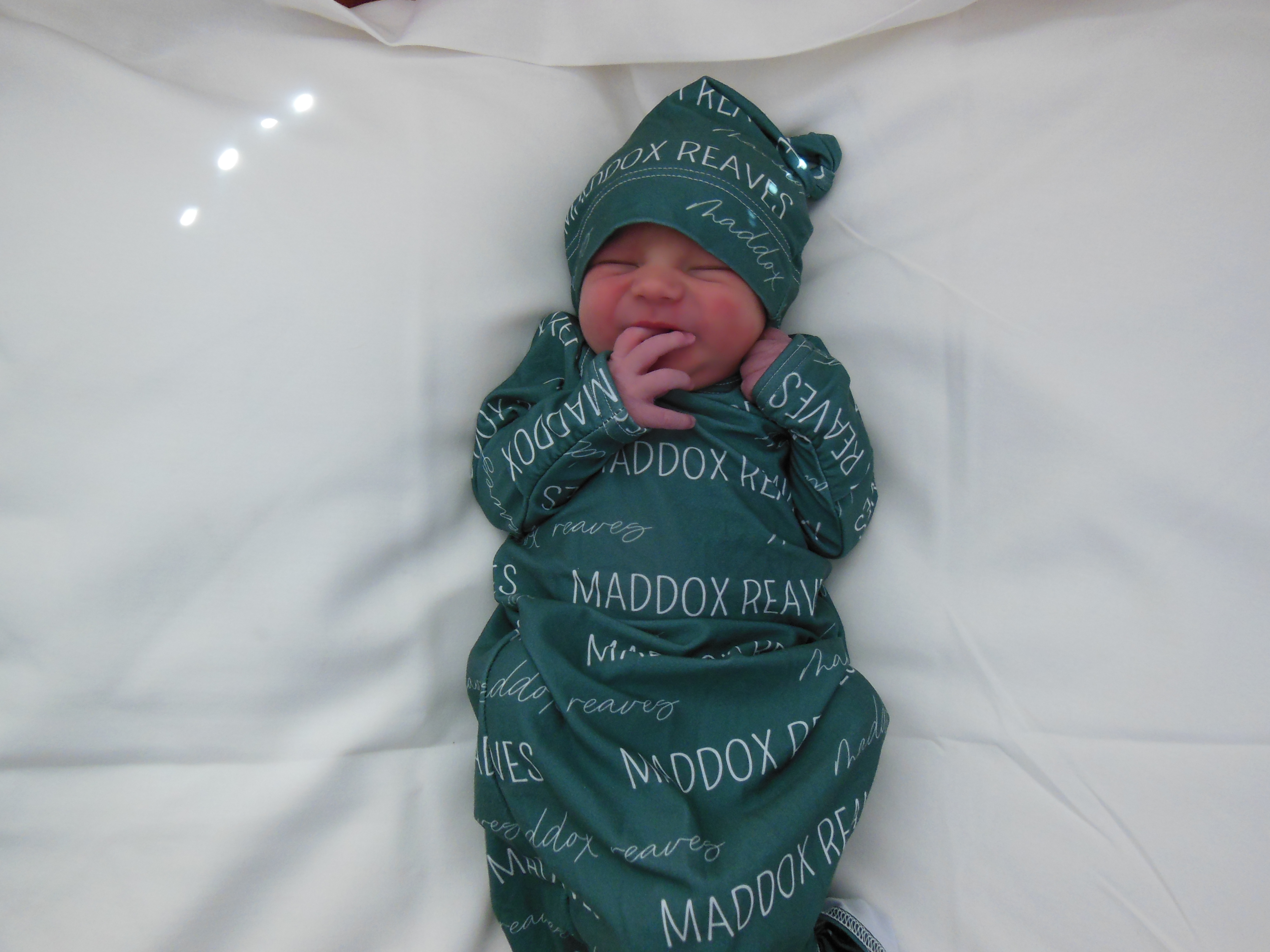 Maddox Zenner