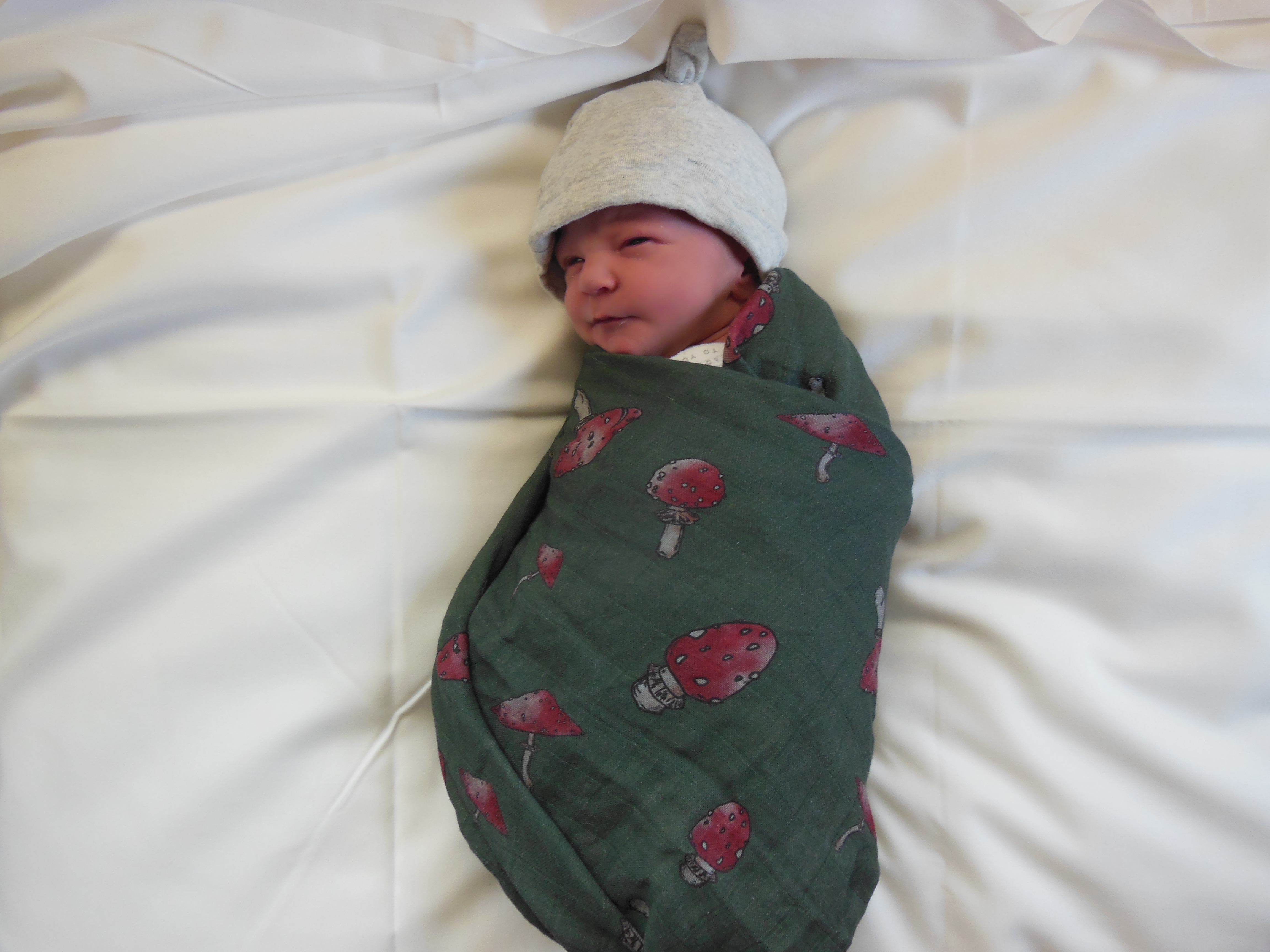 Hank Stephen