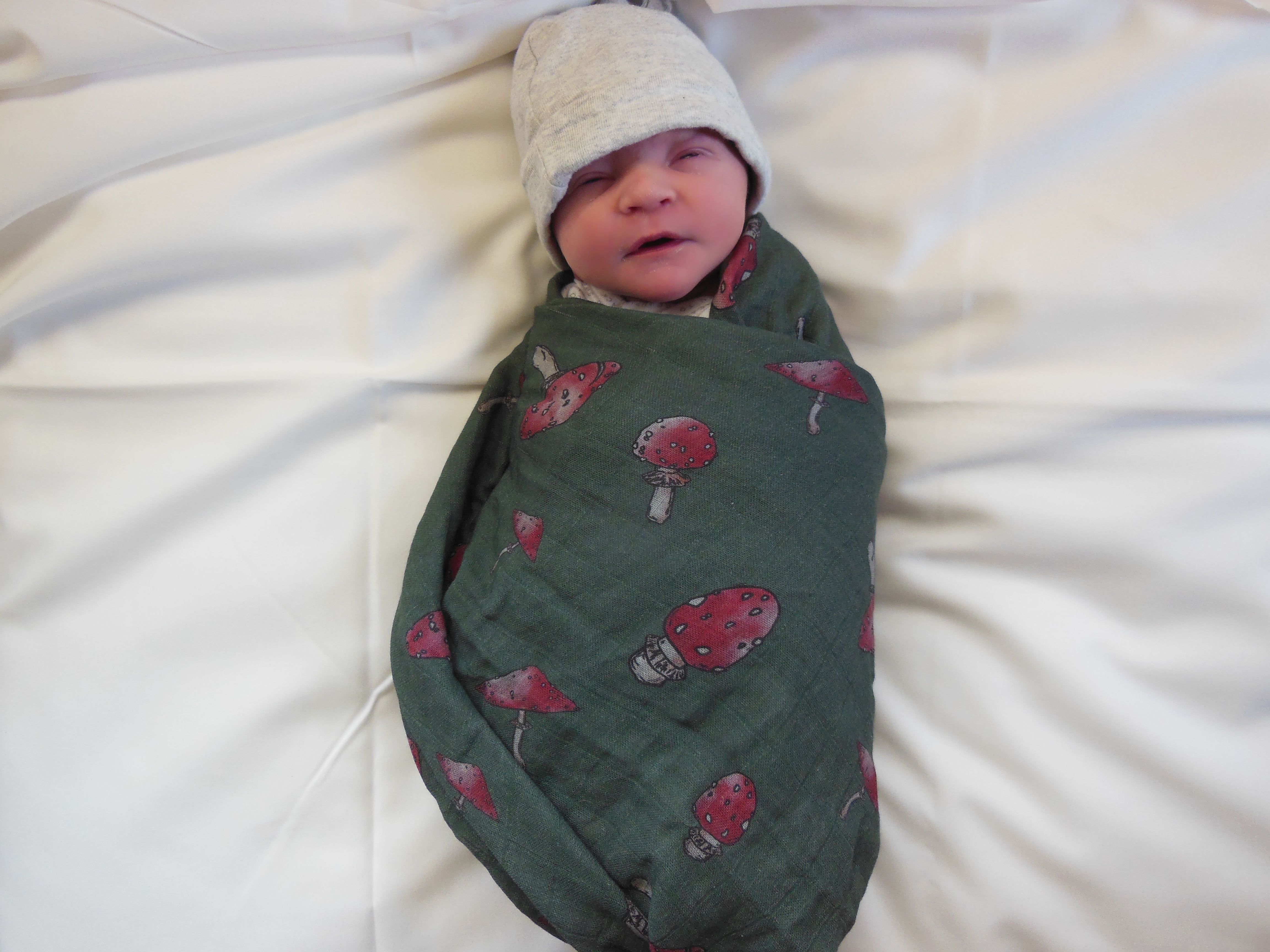 Hank Stephen