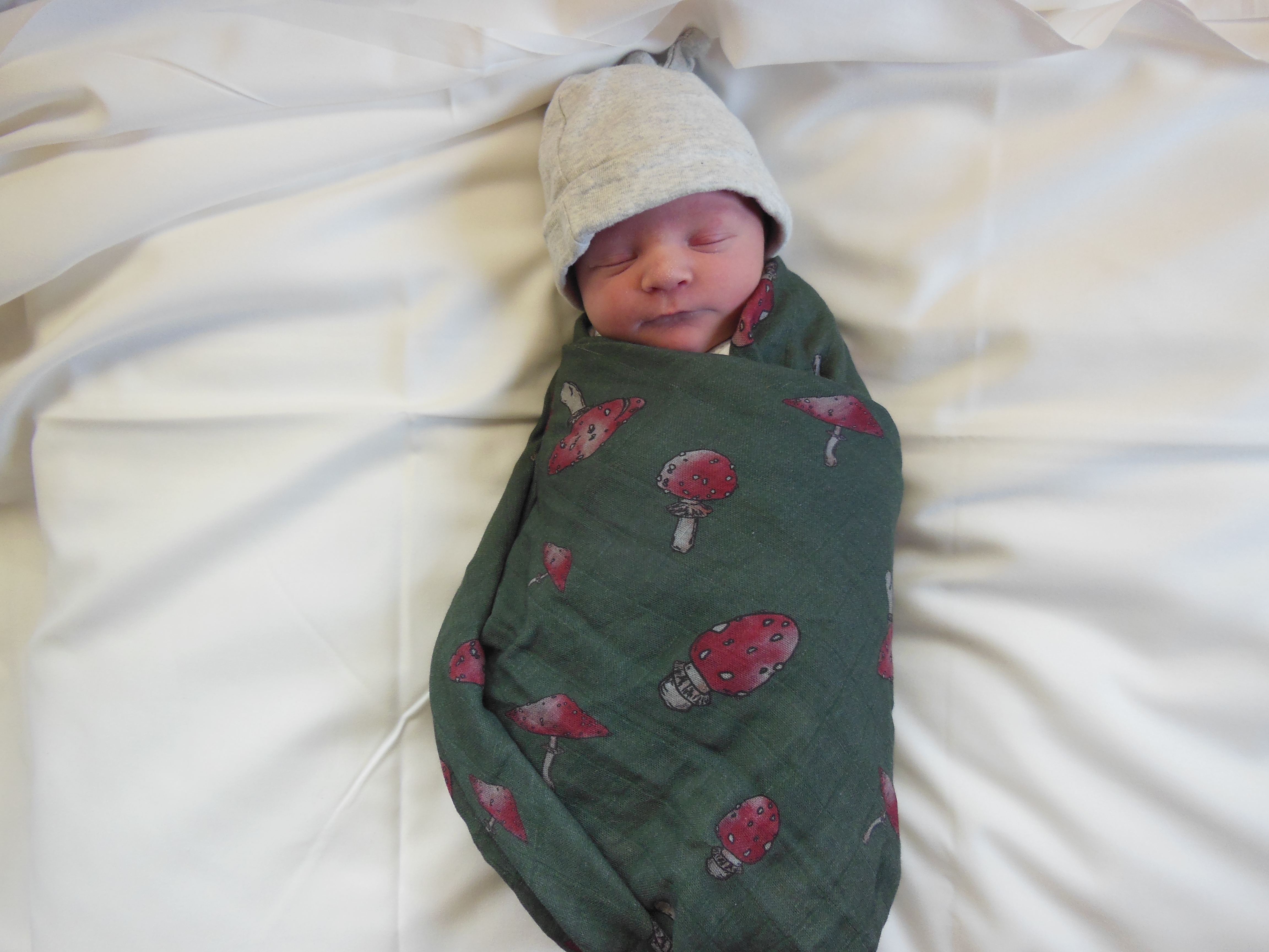 Hank Stephen
