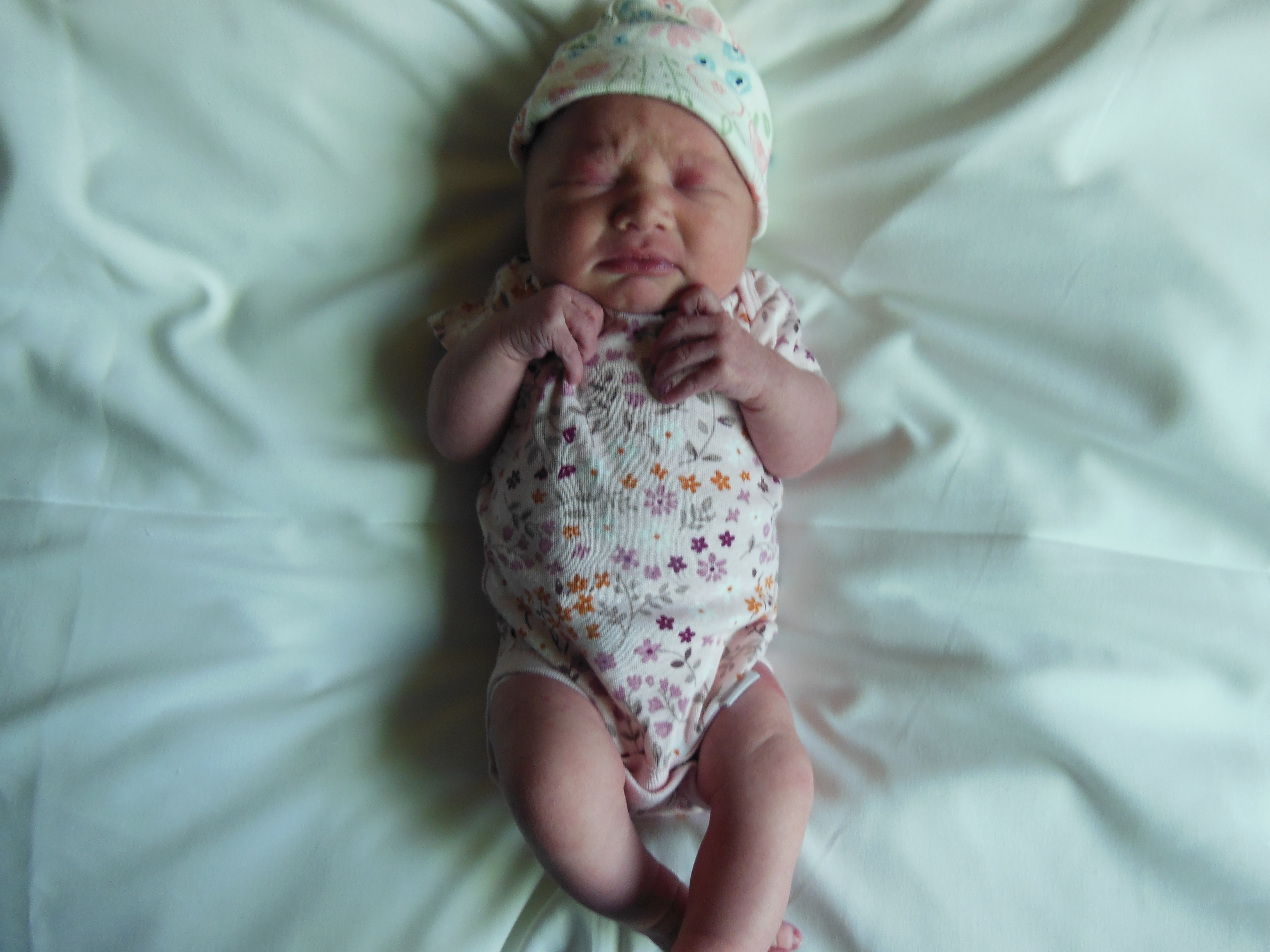Maddux Lee