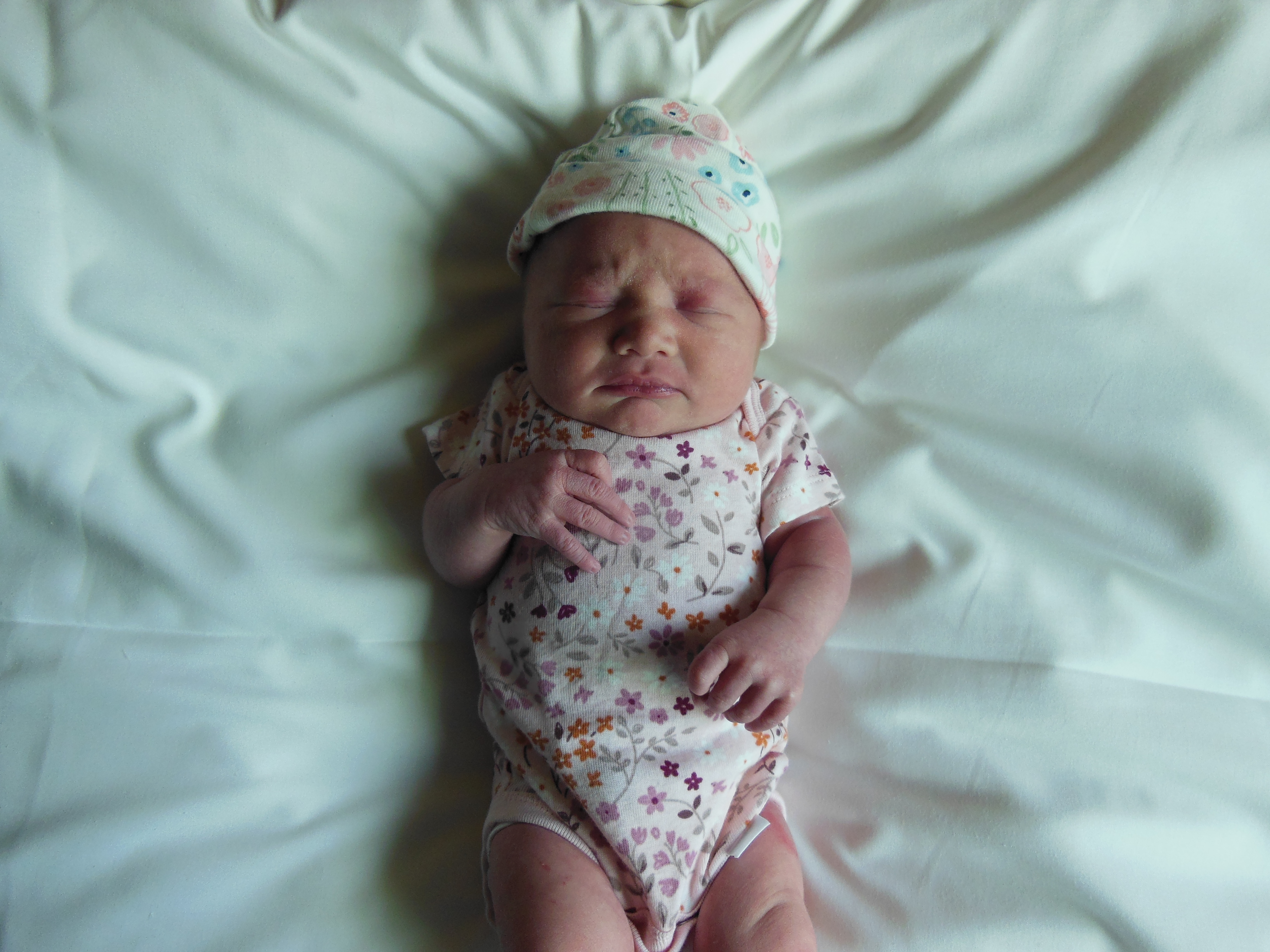 Maddux Lee