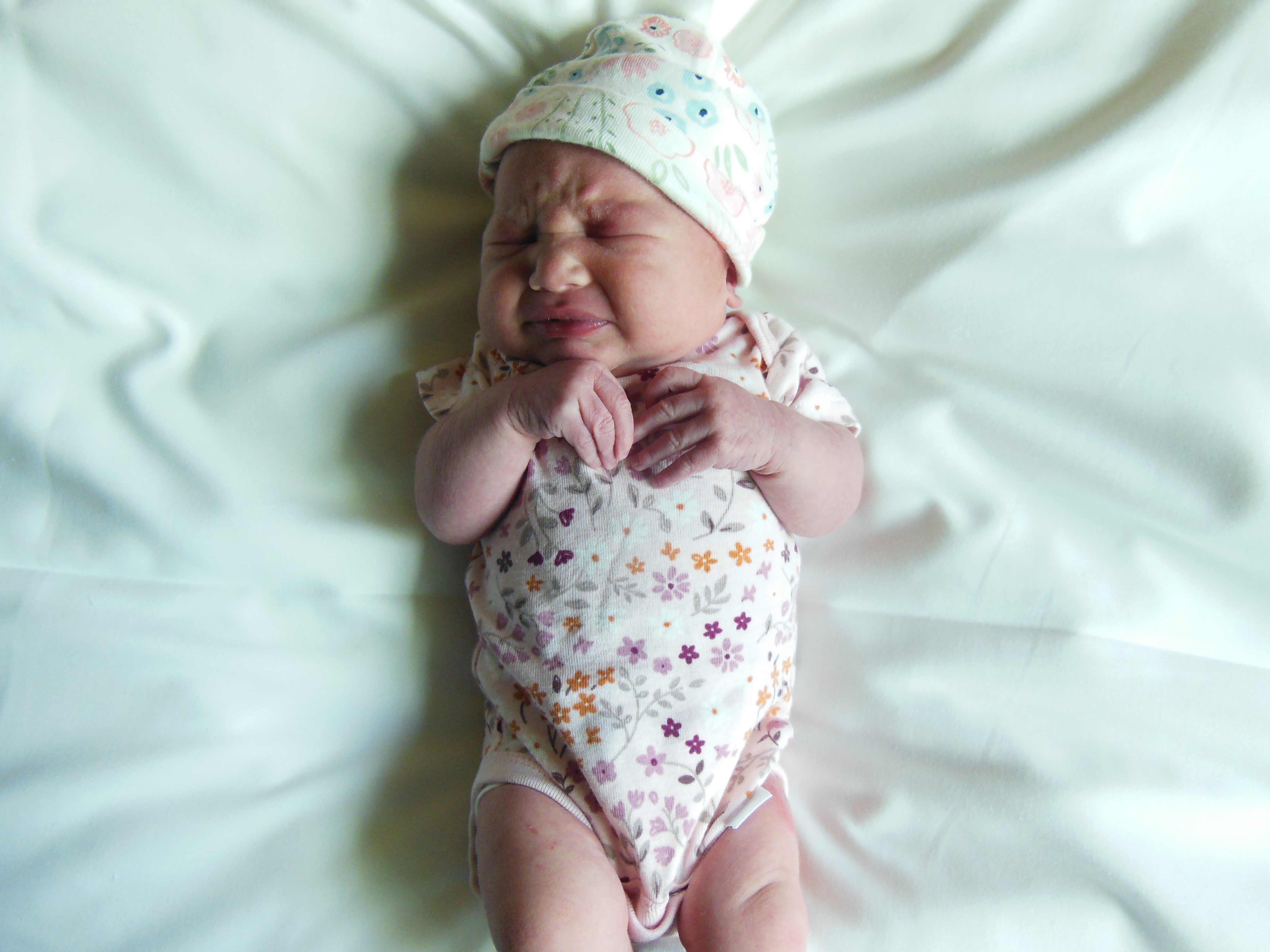 Maddux Lee