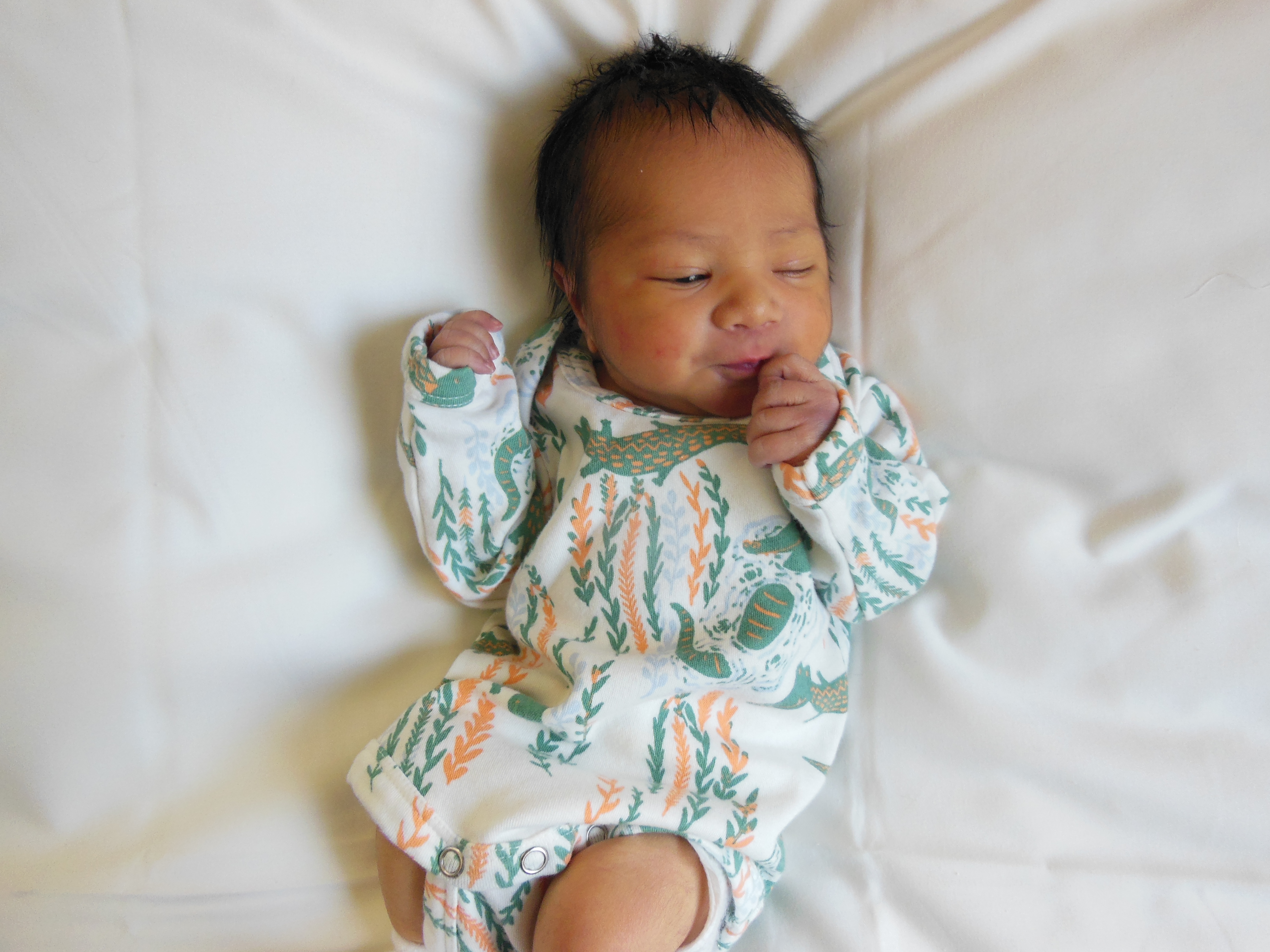 Xavier John Michael 
