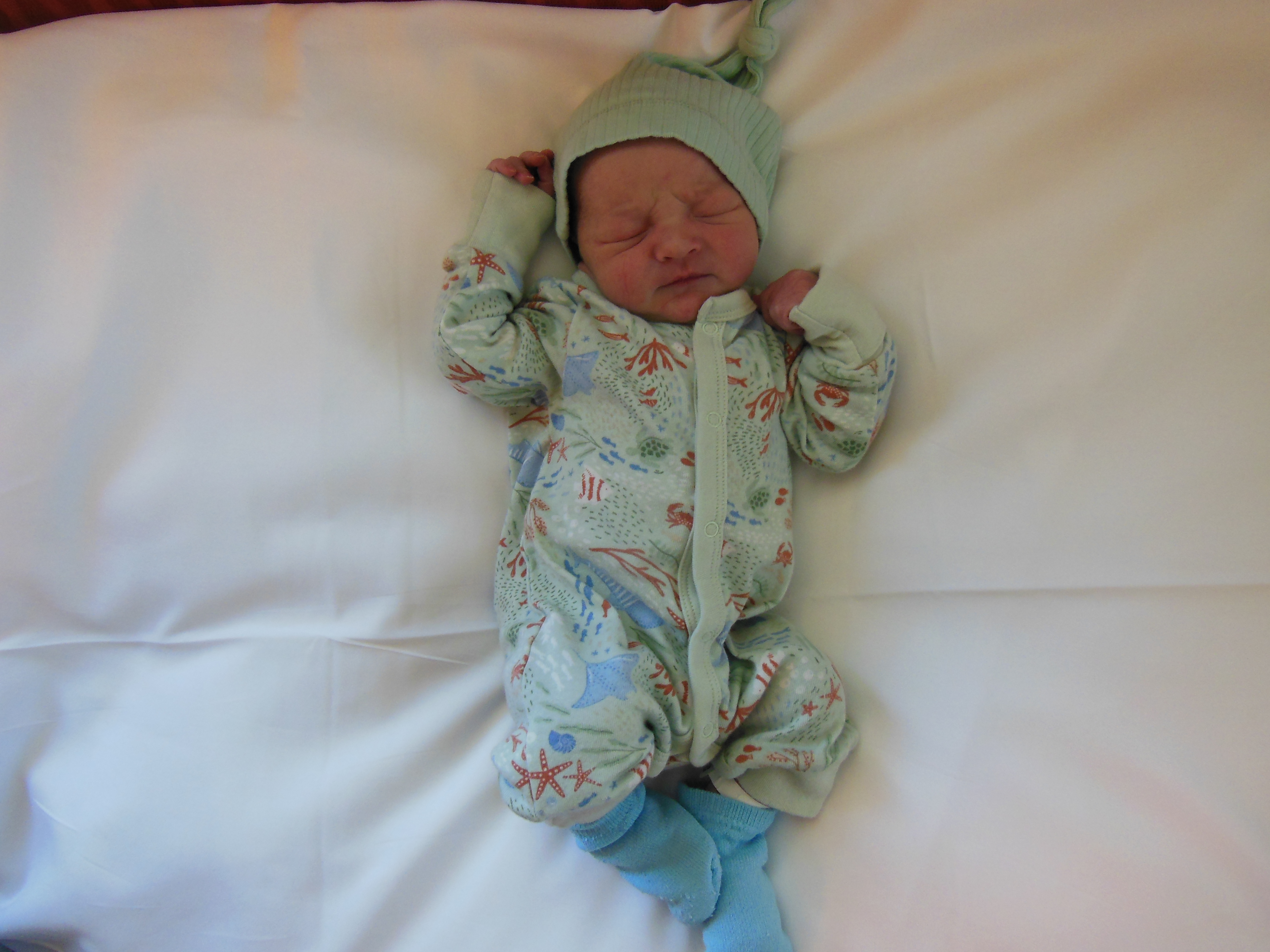 Kaiden Jacob