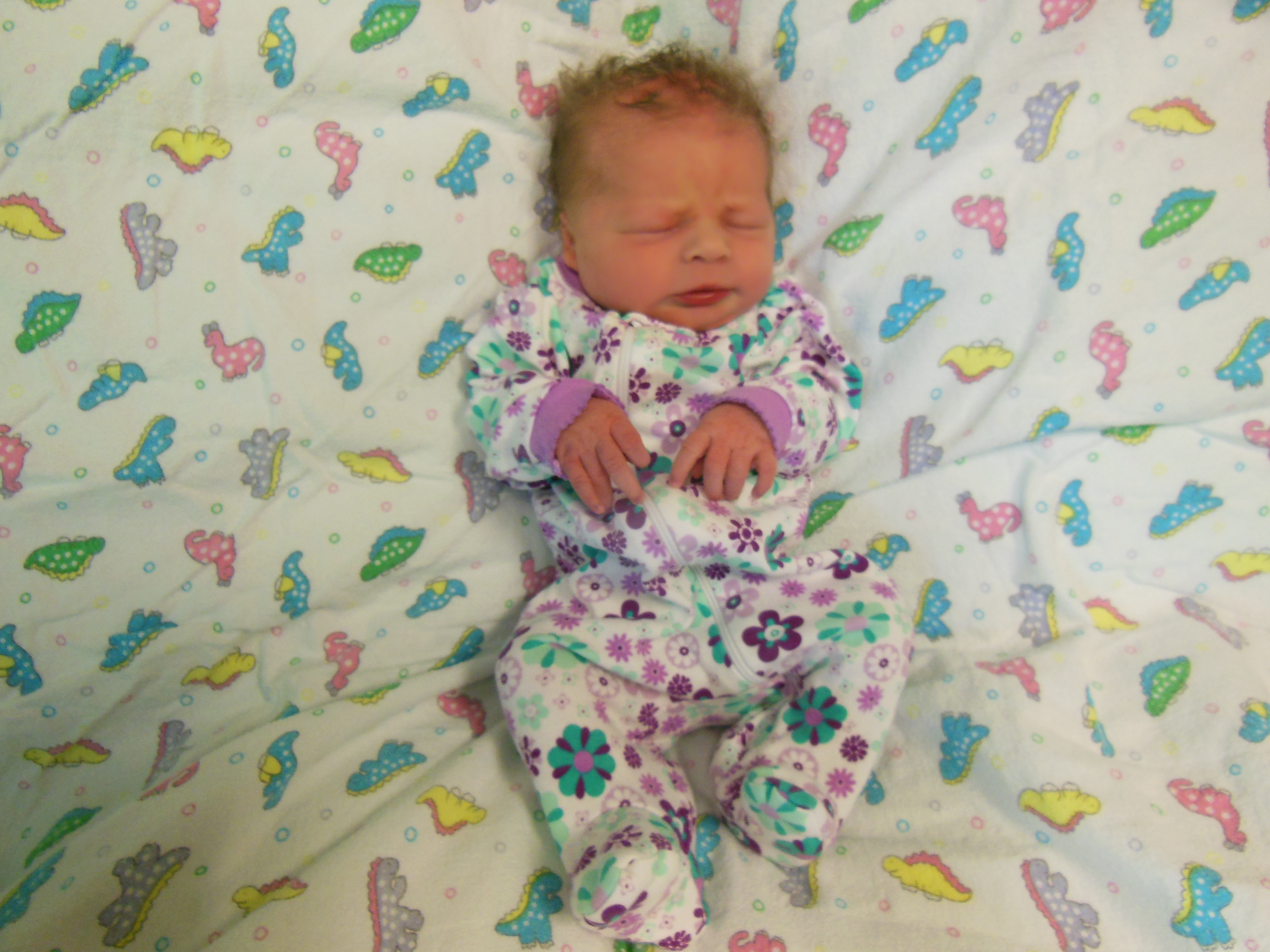  Jolee Mae