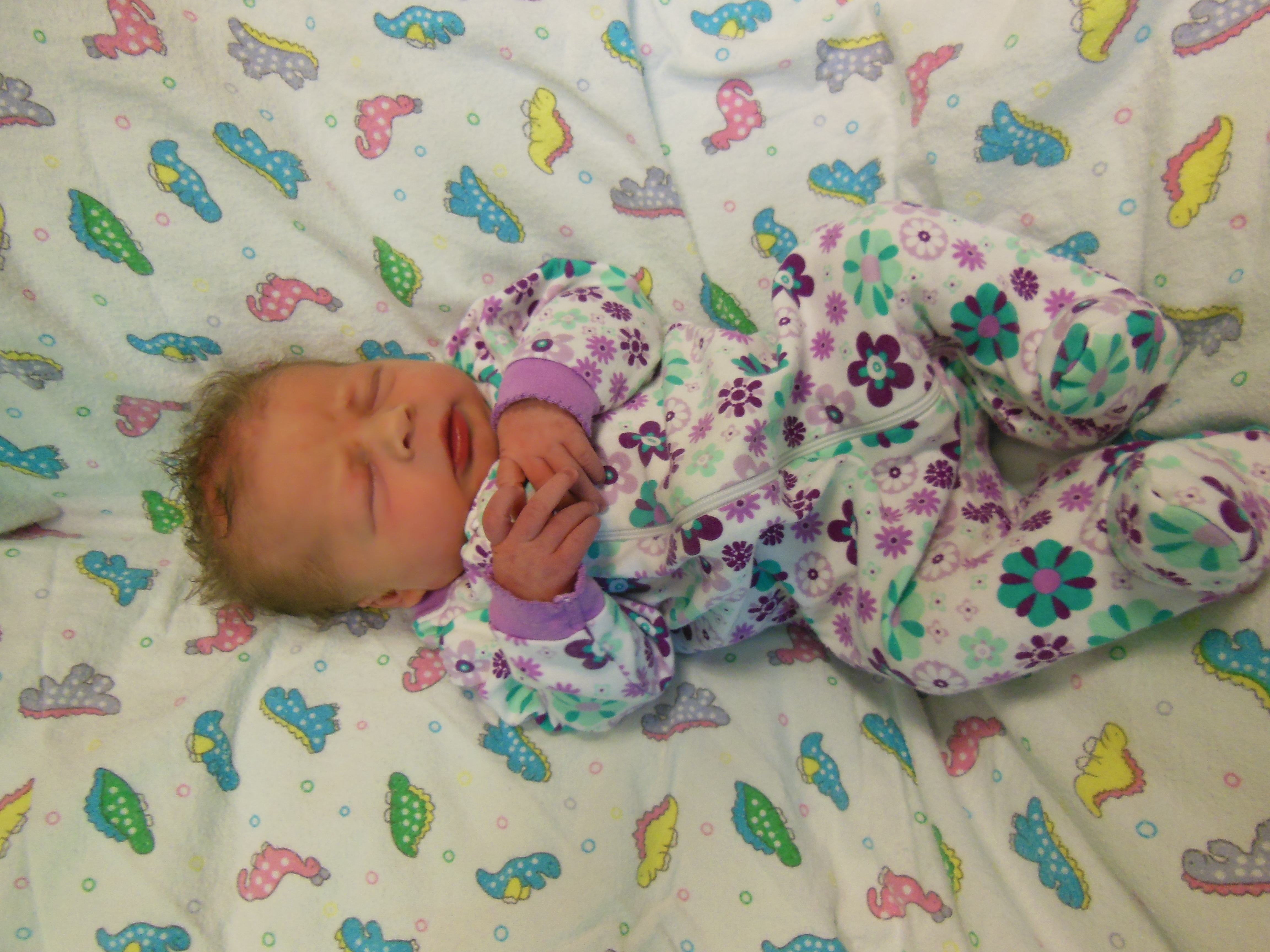  Jolee Mae