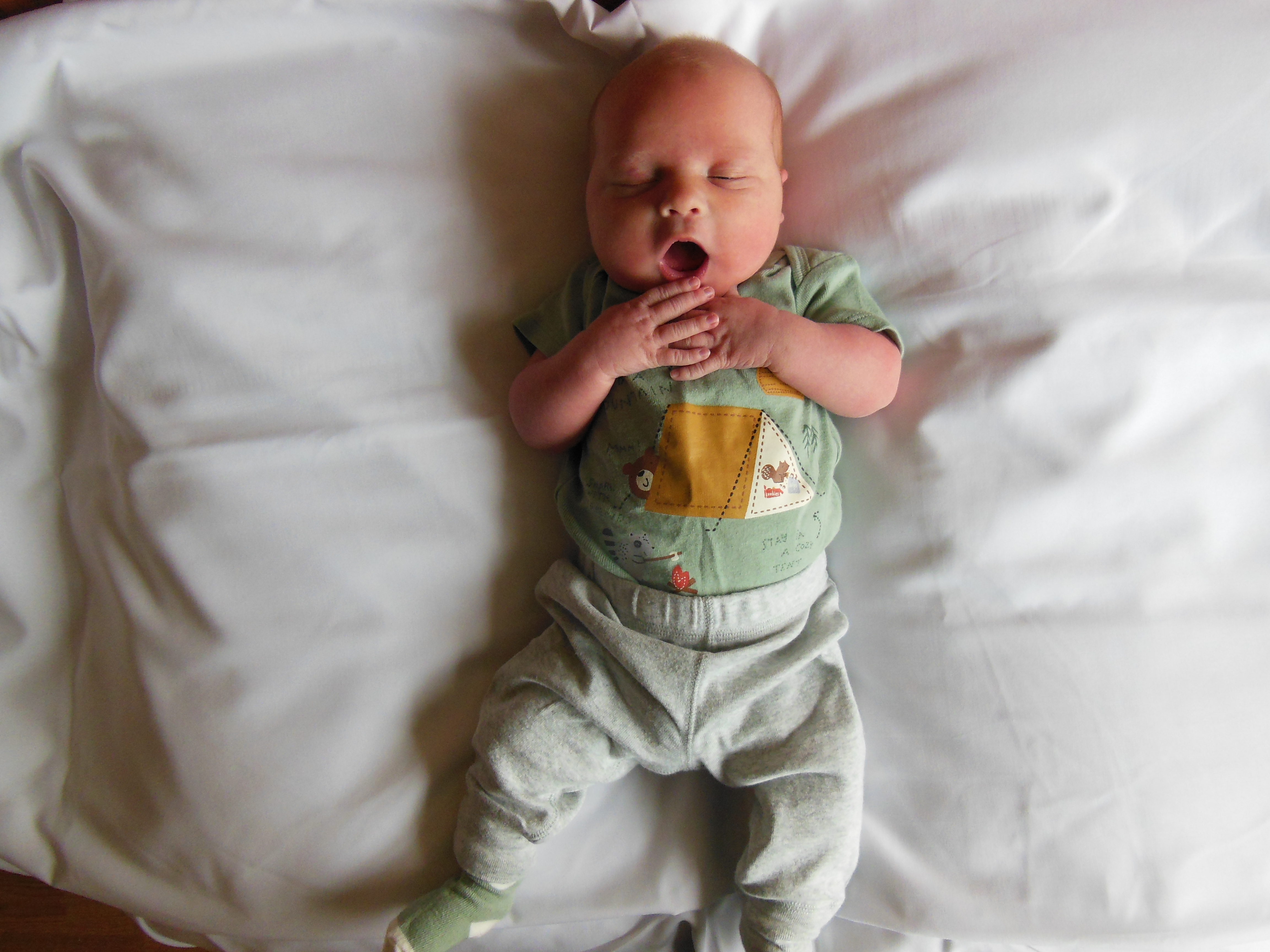 Jamison Roger