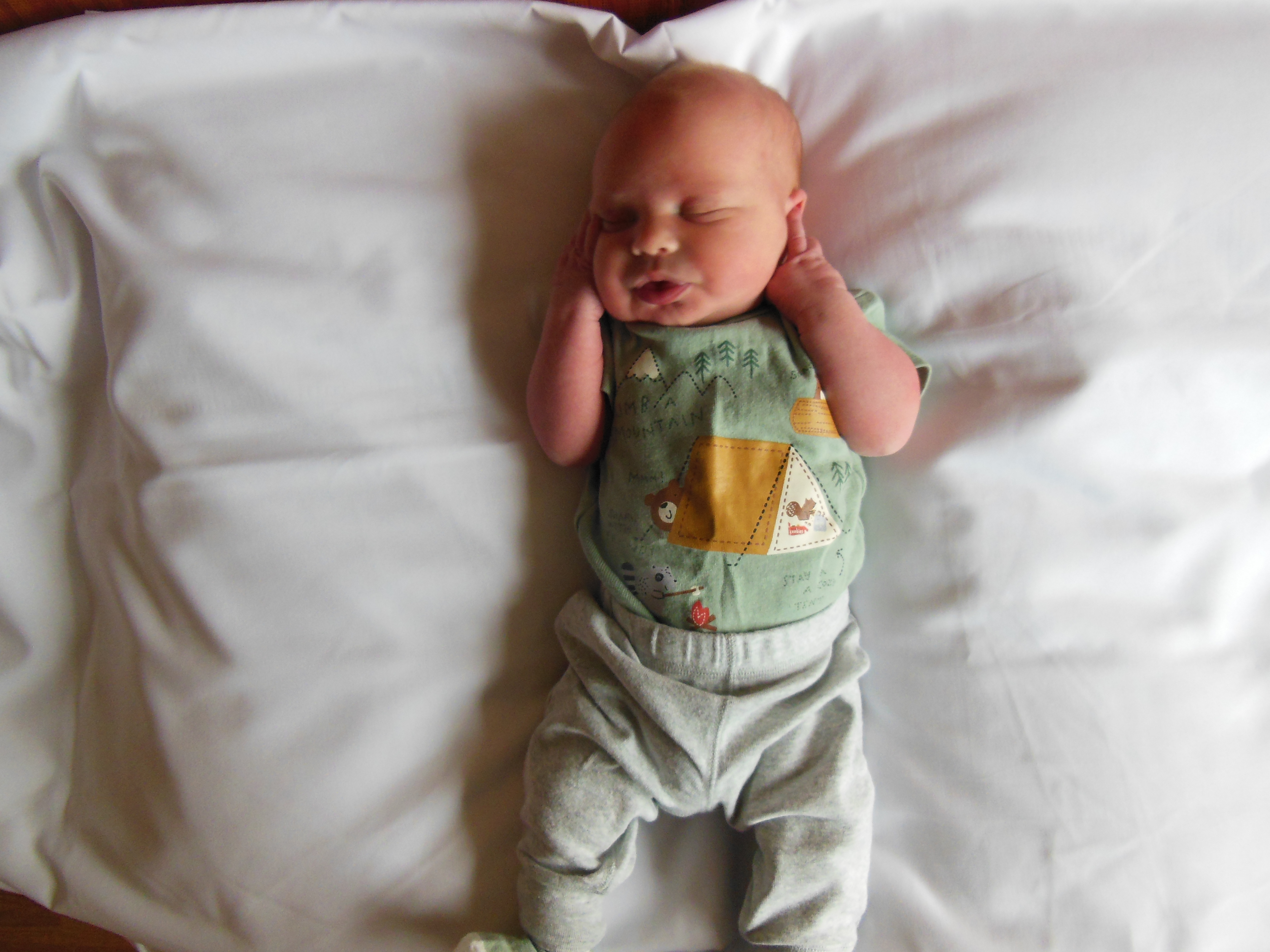 Jamison Roger